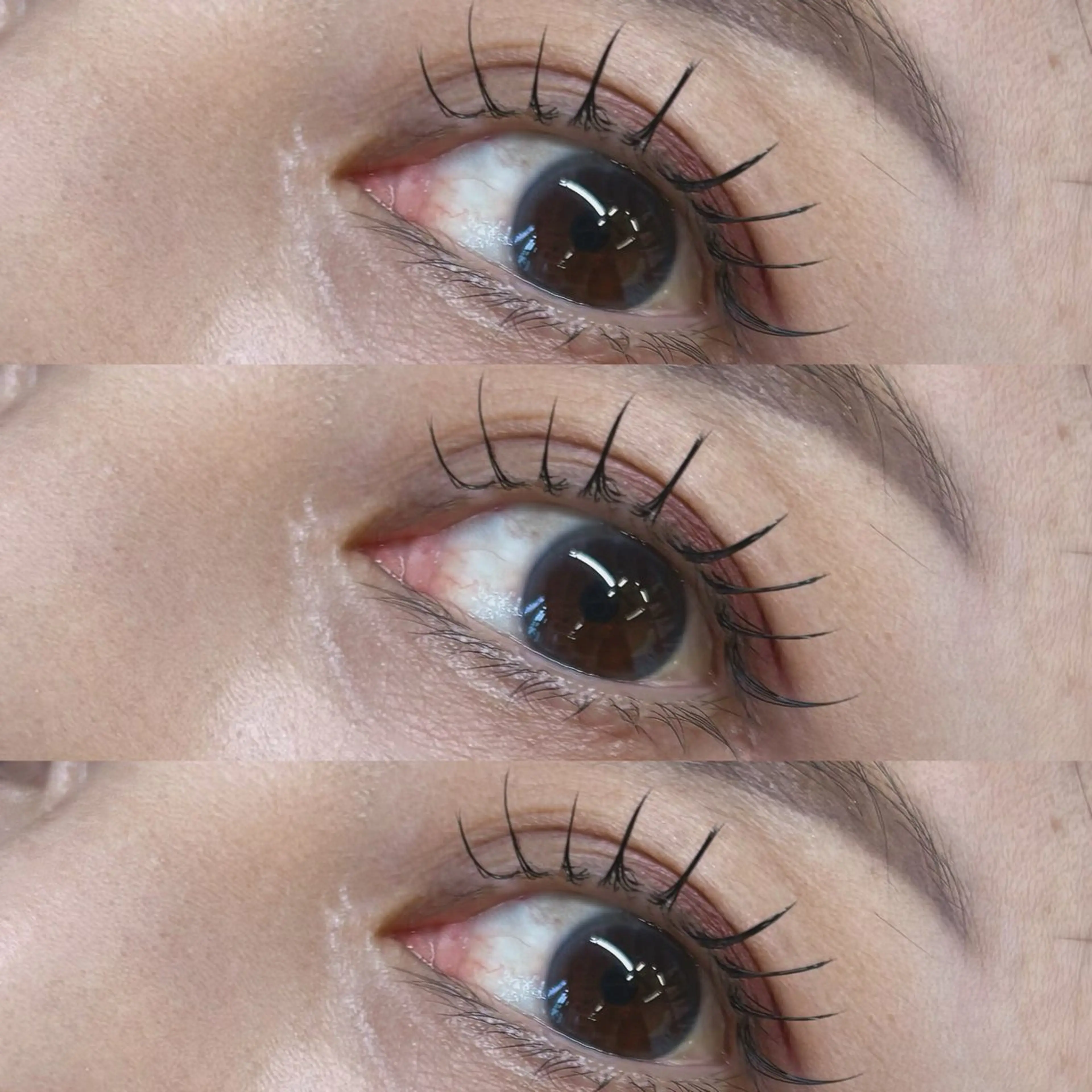 マツエク・マツパ カルフールノア大船店所属・カルフールノア大船/ Ririの眉毛・アイブロウイメージ