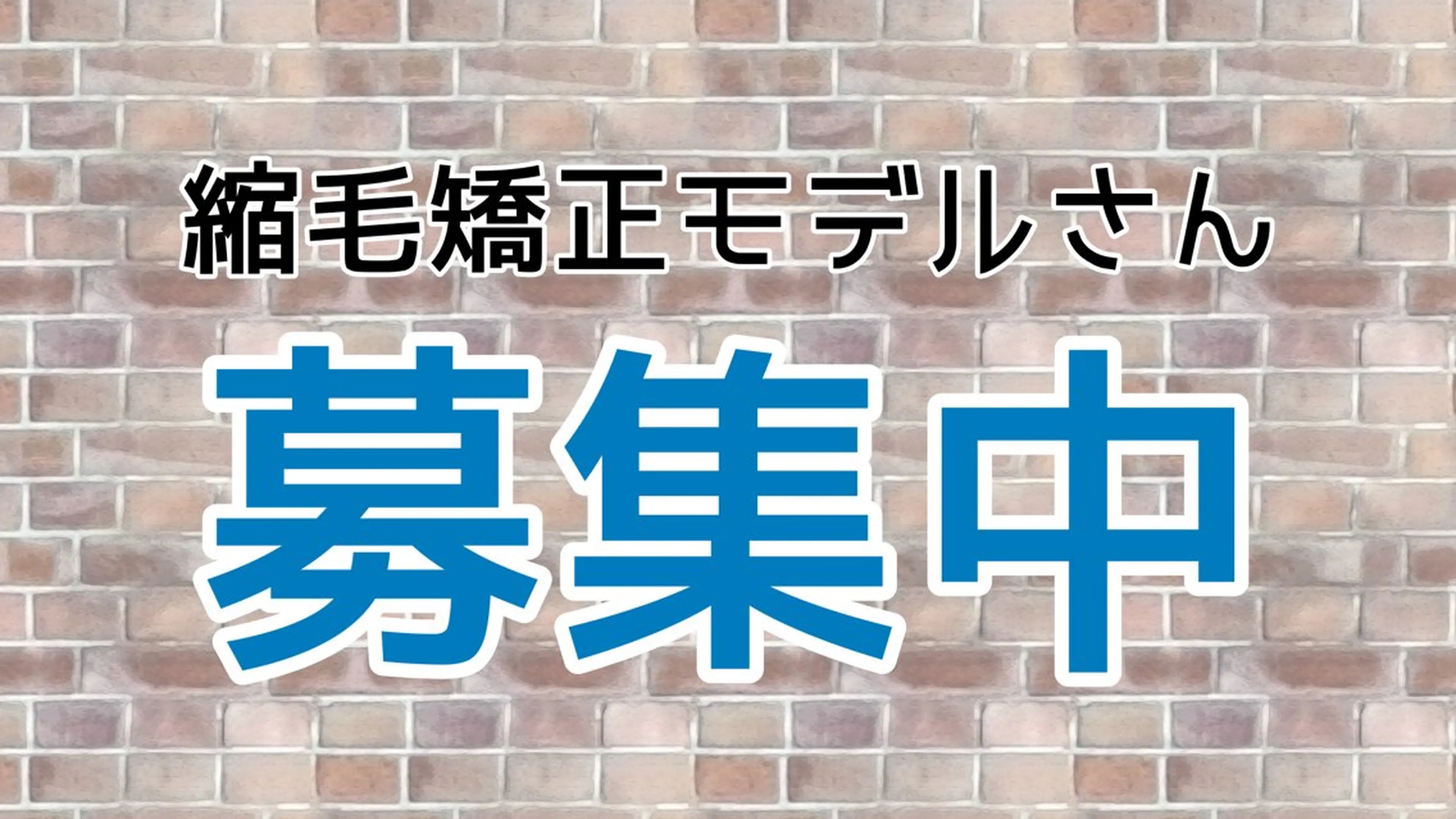 【水・木・金限定❣️】カットなし縮毛矯正🤍✨(シャンプー・ブロー込)の写真