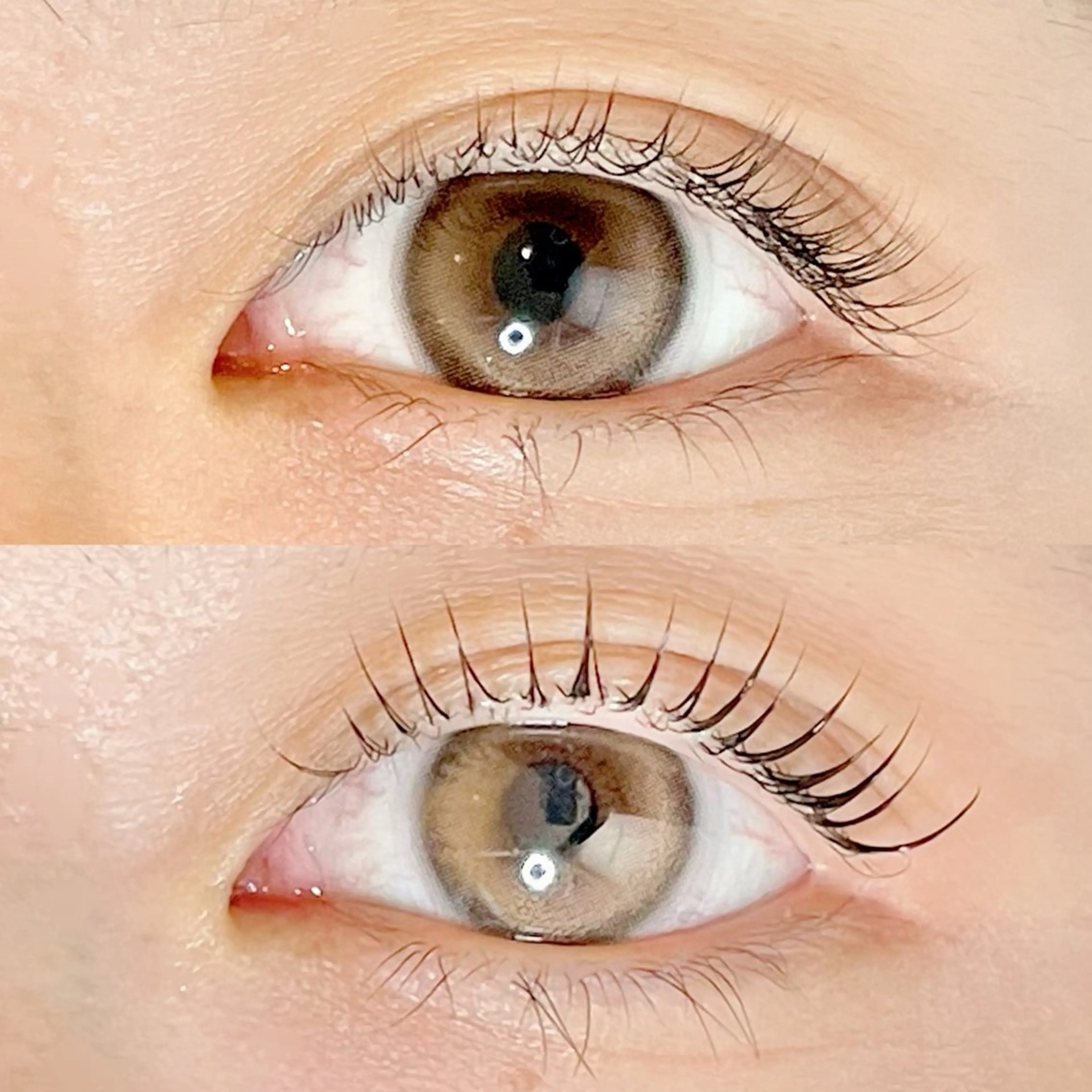 マツエク・マツパ マツパ AYLASH🧡 猪又のマツエク・マツパデザイン