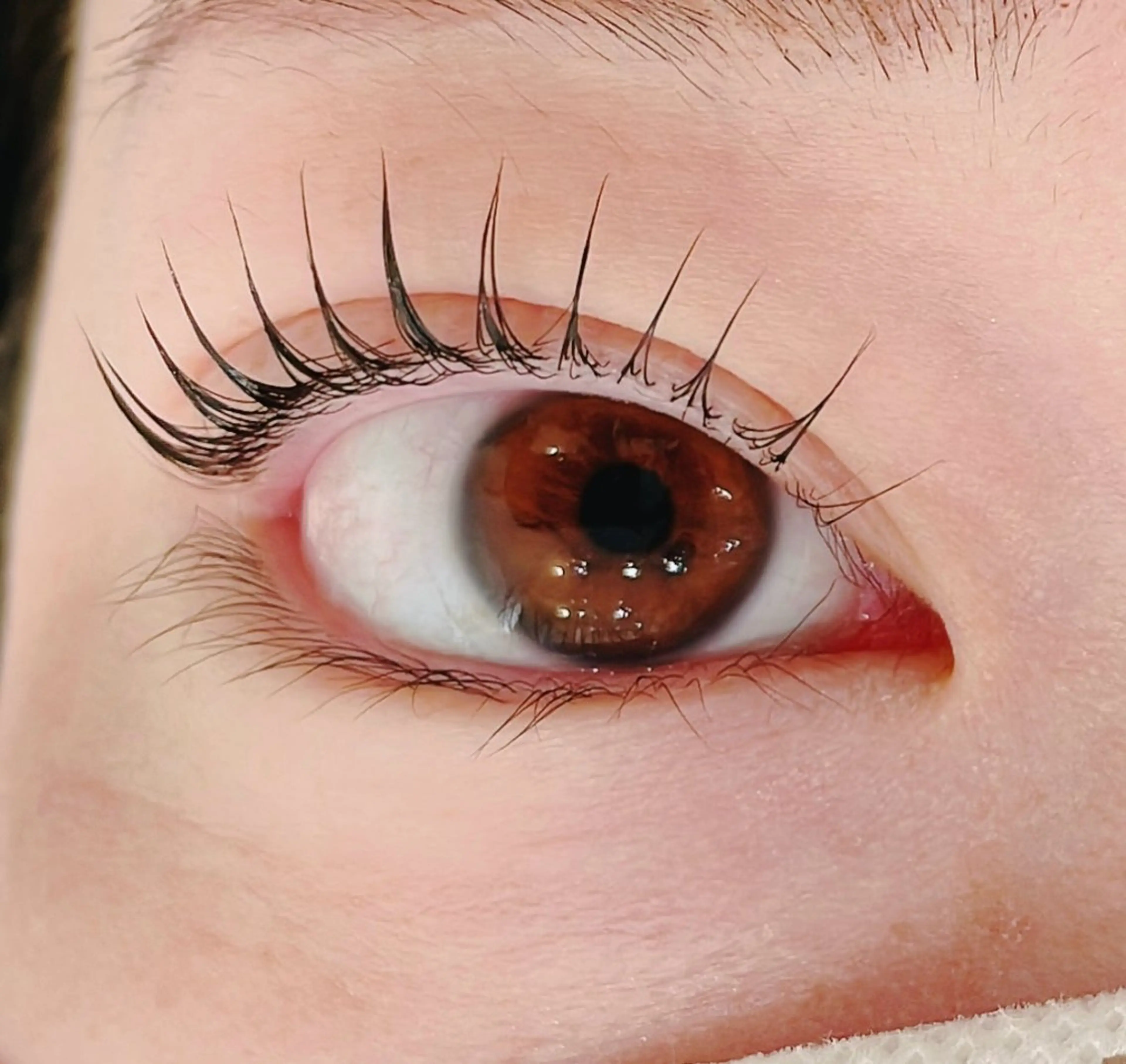 🩷ご新規様限定🩷パリジェンヌ 上のみ オフ別 ¥3480の写真