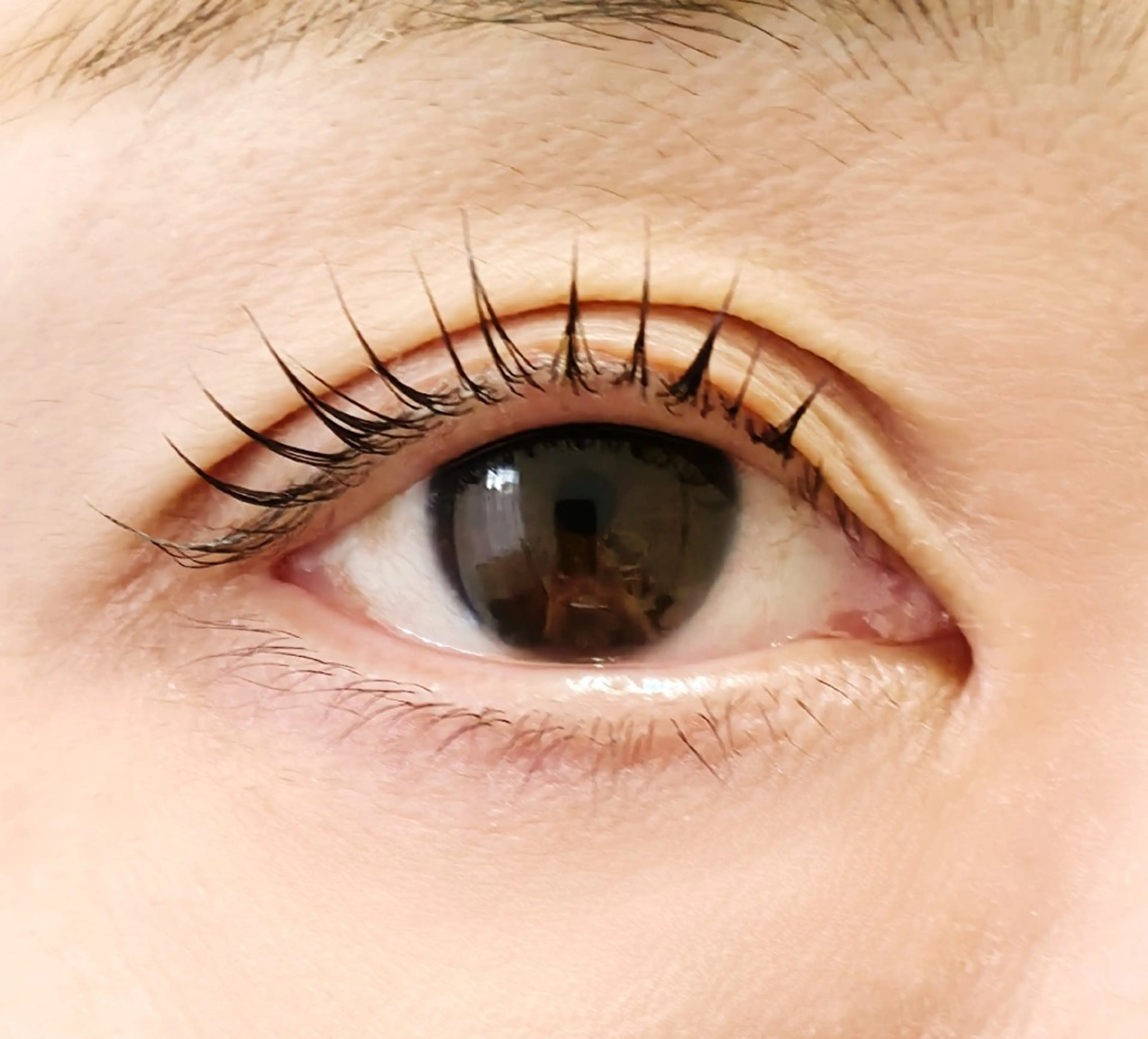 マツエク・マツパ マツパ EYE 405 Mikaのマツエク・マツパデザイン