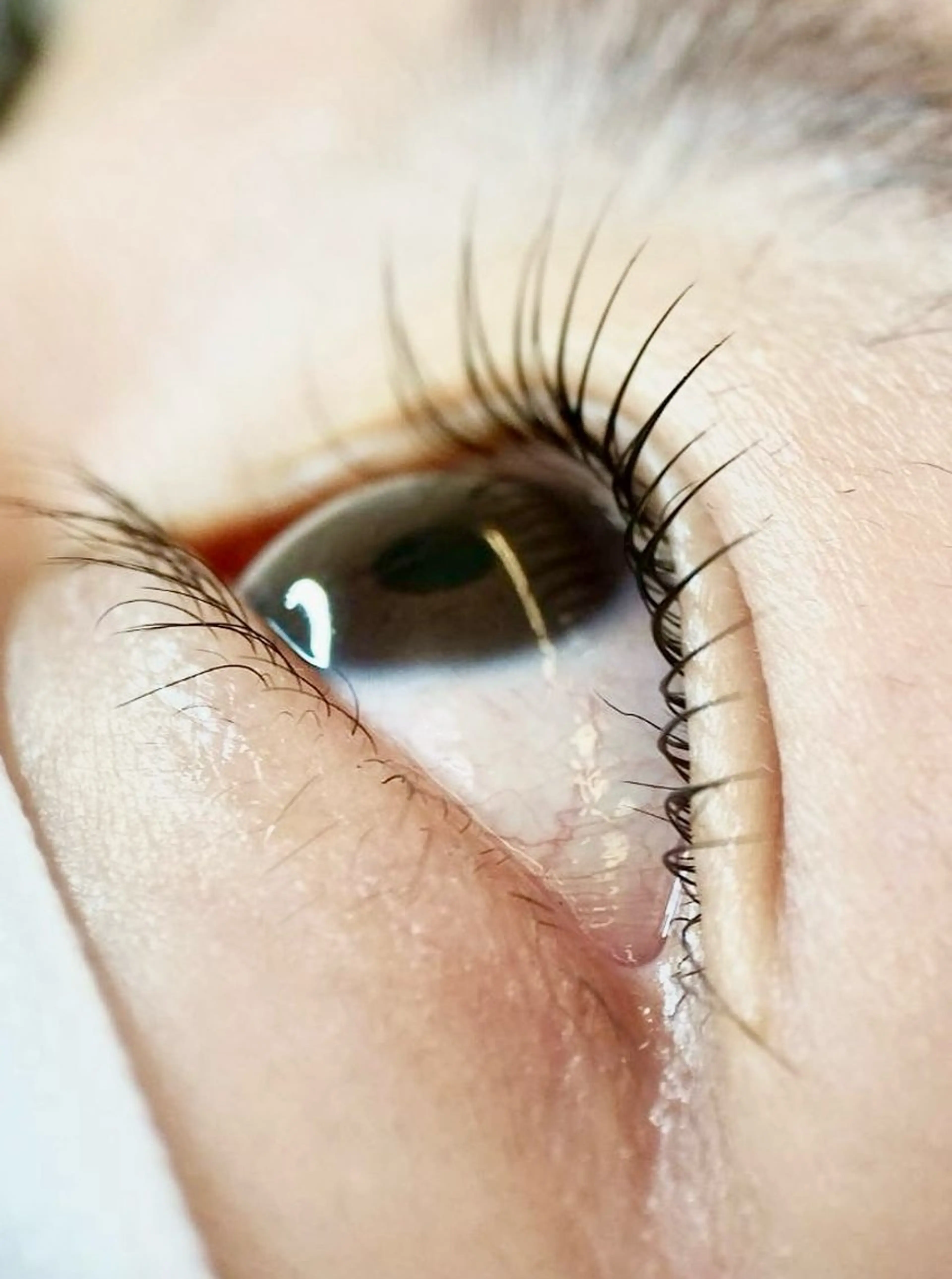 パリジェンヌラッシュリフトの写真