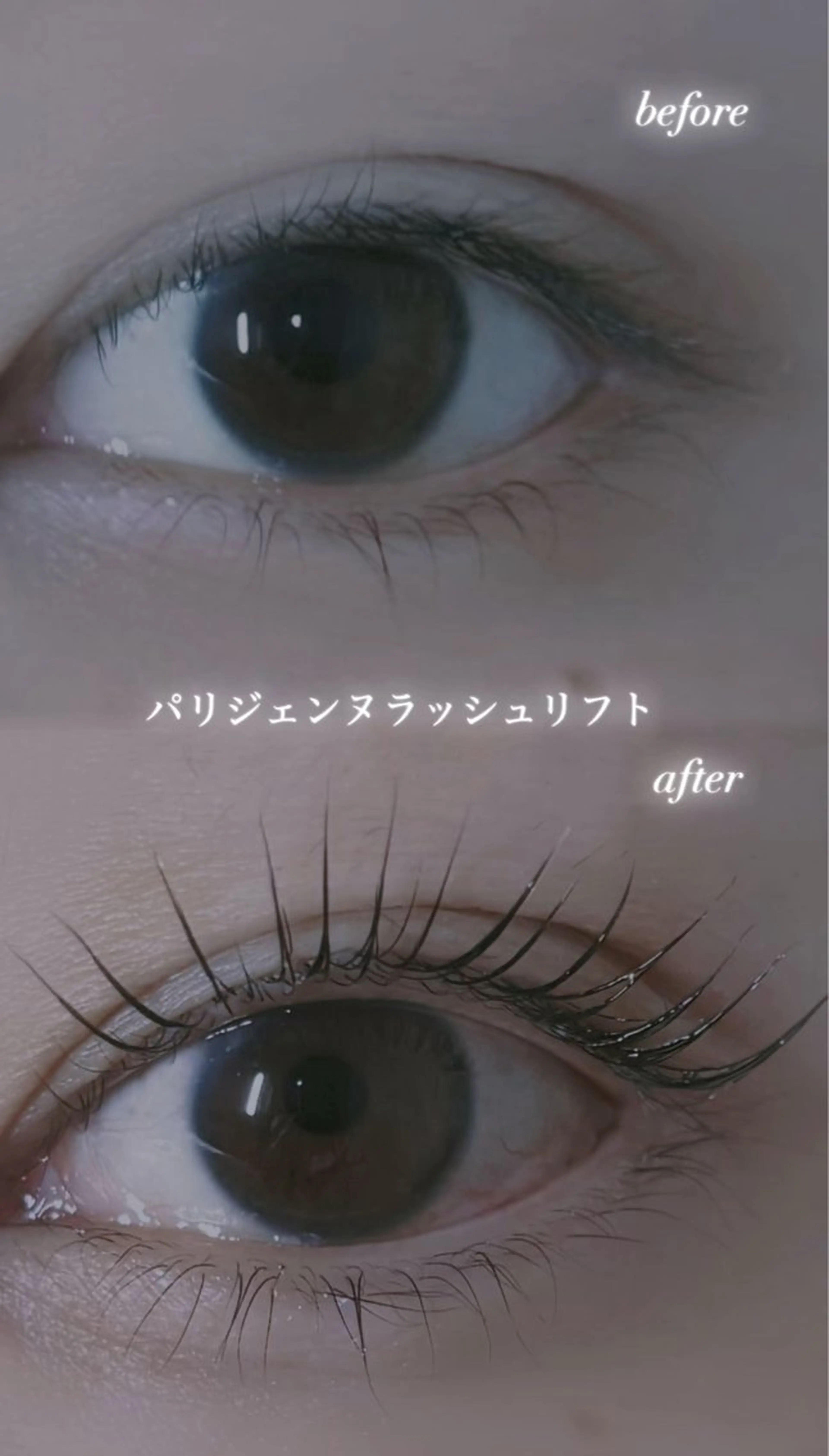 マツエク・マツパ パリジェンヌラッシュリフト 仲尾 奏音のマツエク・マツパデザイン