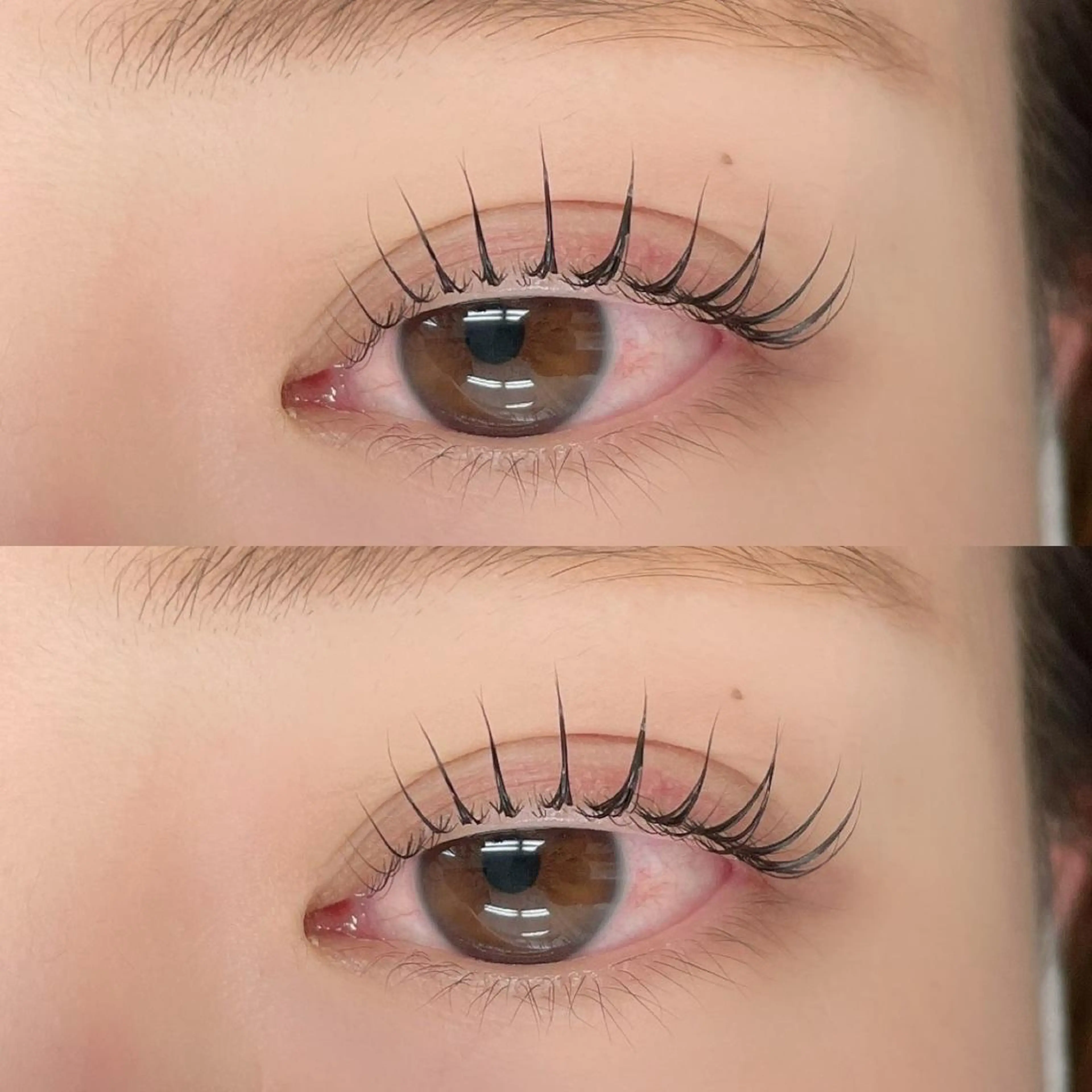 ⭐️パリジェンヌラッシュリフト⭐️の写真