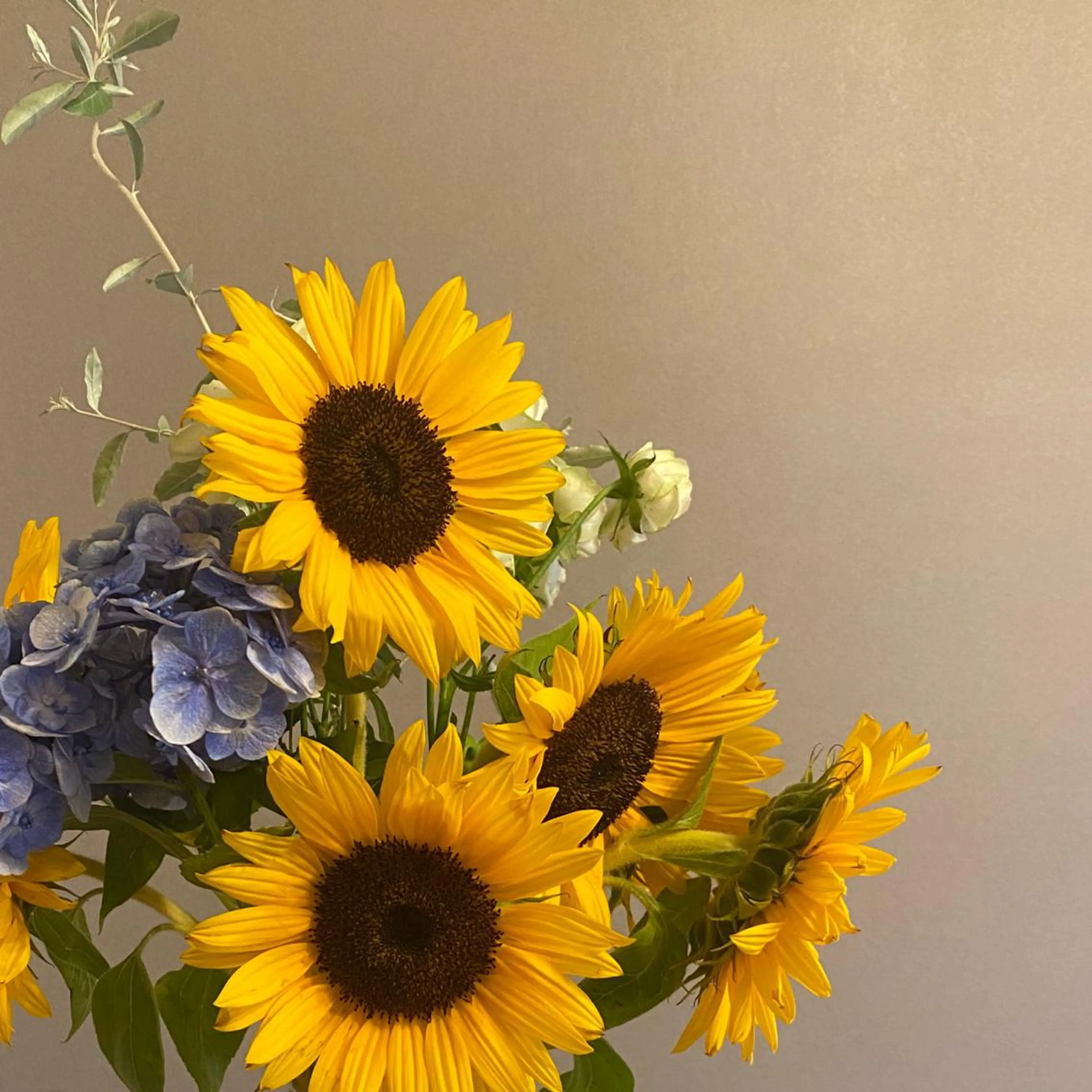 スカルプ・長さだしオフの写真