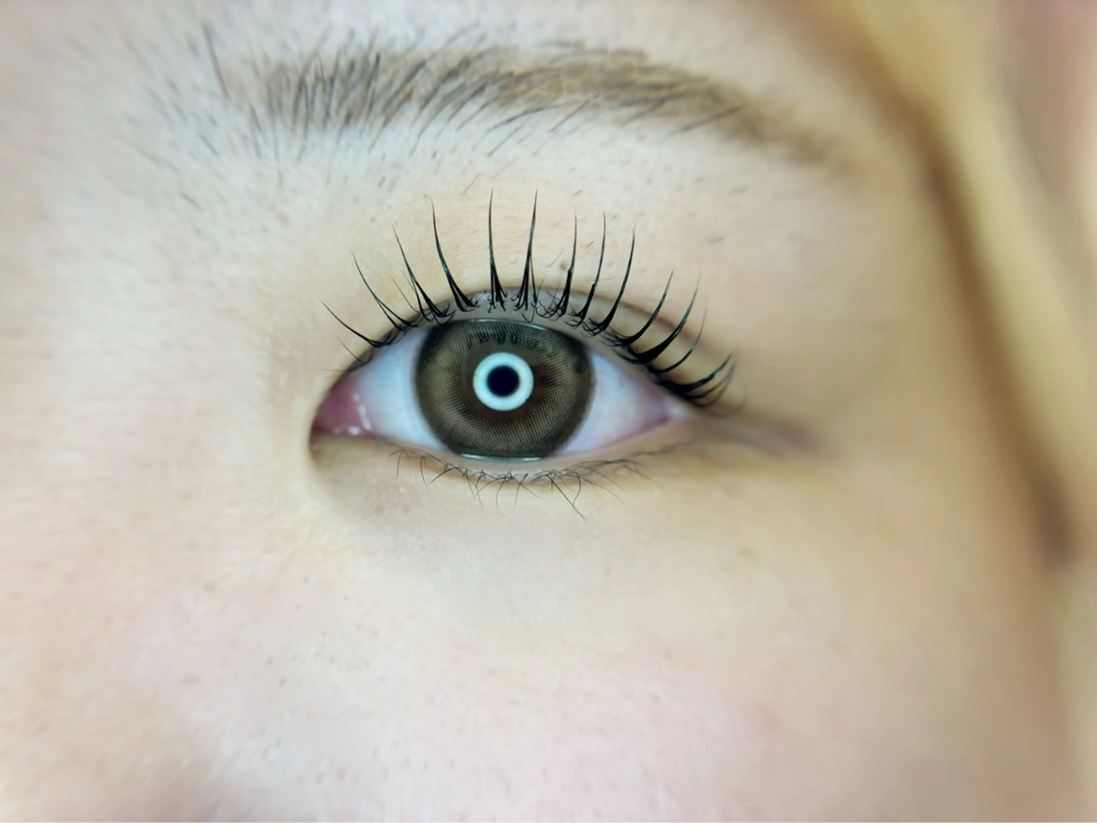 【学割U24】平日限定まつ毛パーマ＋長持ち美容液コーティング◎の写真