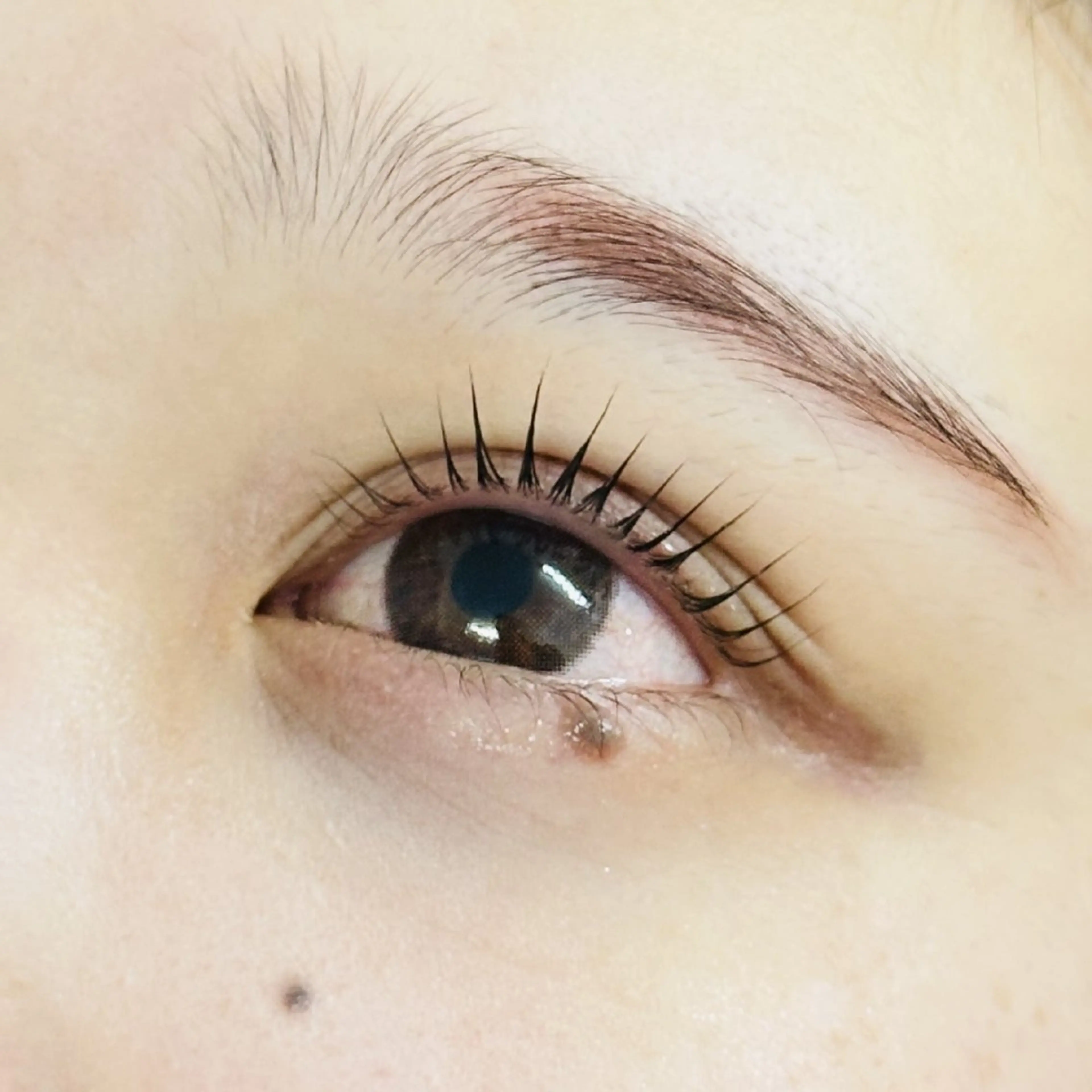 マツエク・マツパ マツパ on .のマツエク・マツパデザイン