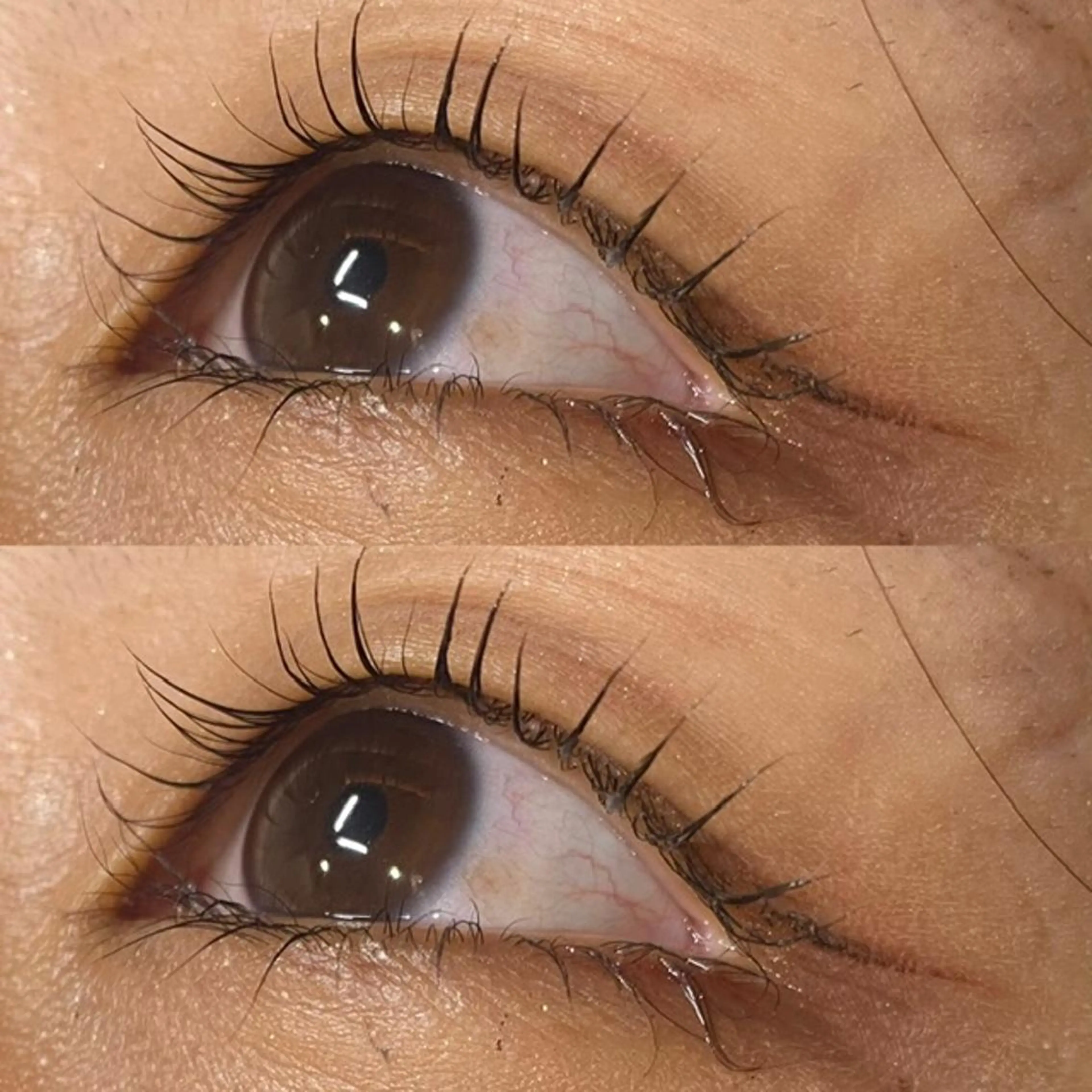 マツエク・マツパ マツパ アリレイナ 鎌倉店のマツエク・マツパデザイン