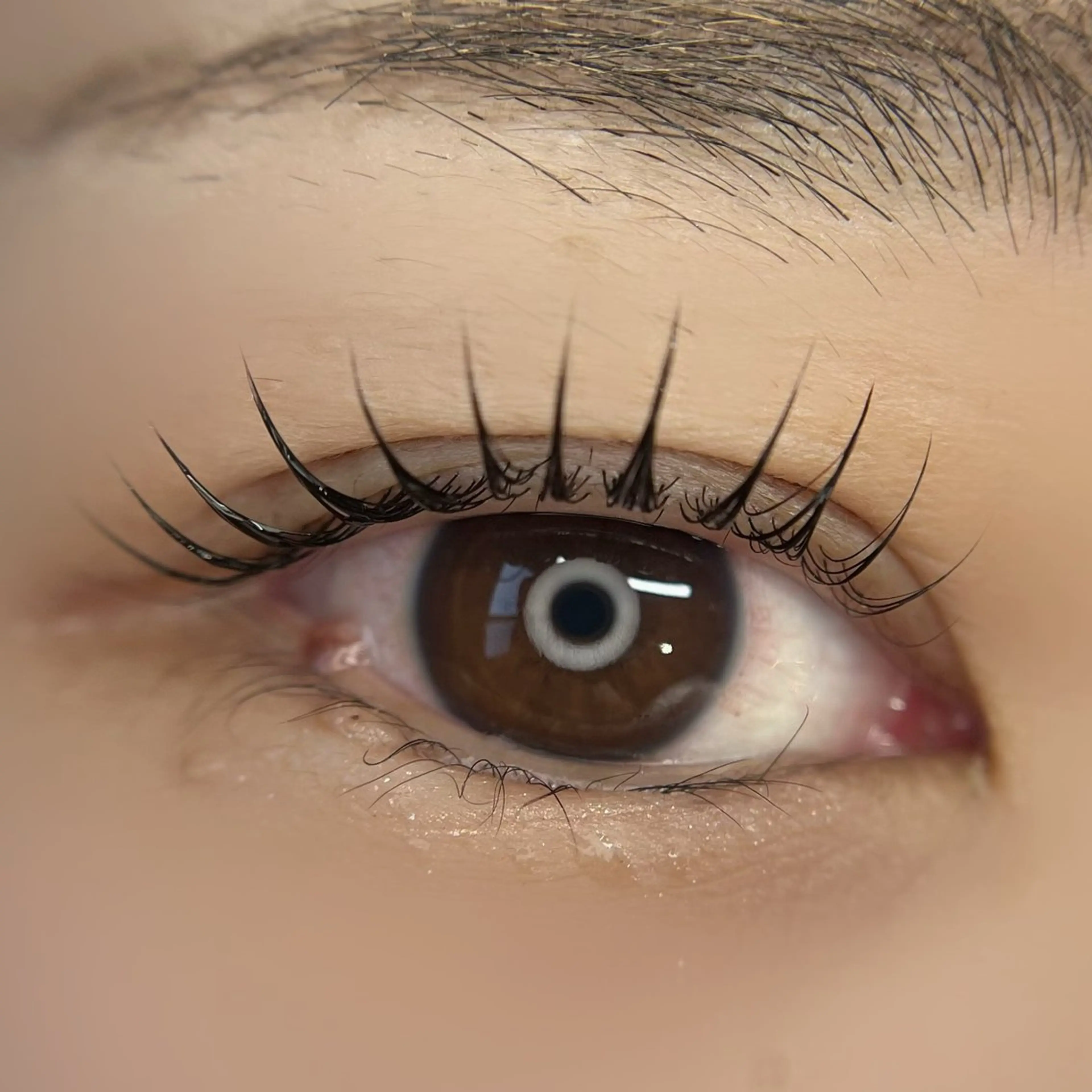 マツエク・マツパ マツパ Lau【ラウ】所属・Lau【ラウ】 ⁂NaNaのマツエク・マツパデザイン