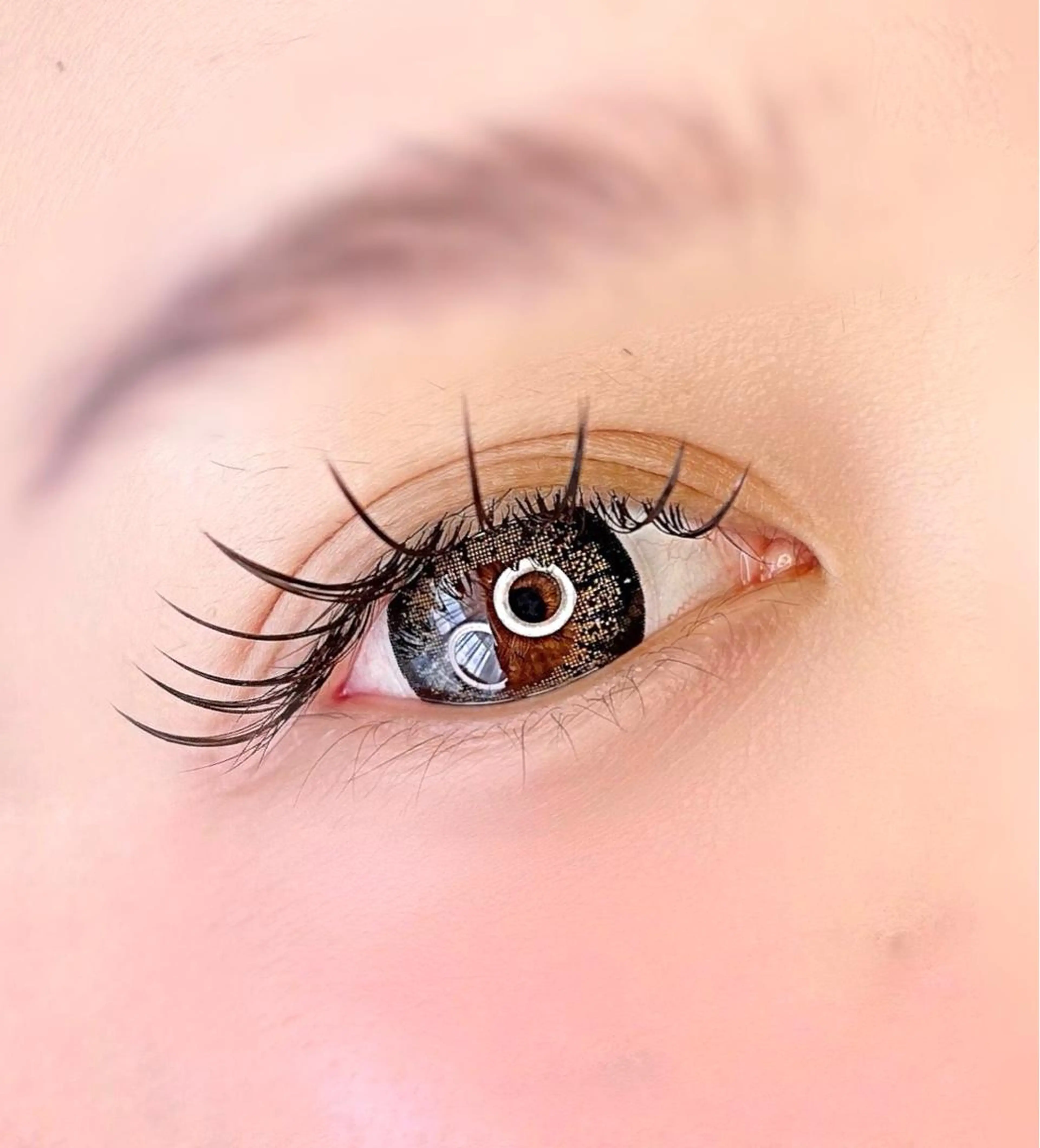 【オフ込み】フラットマットラッシュ100本の写真