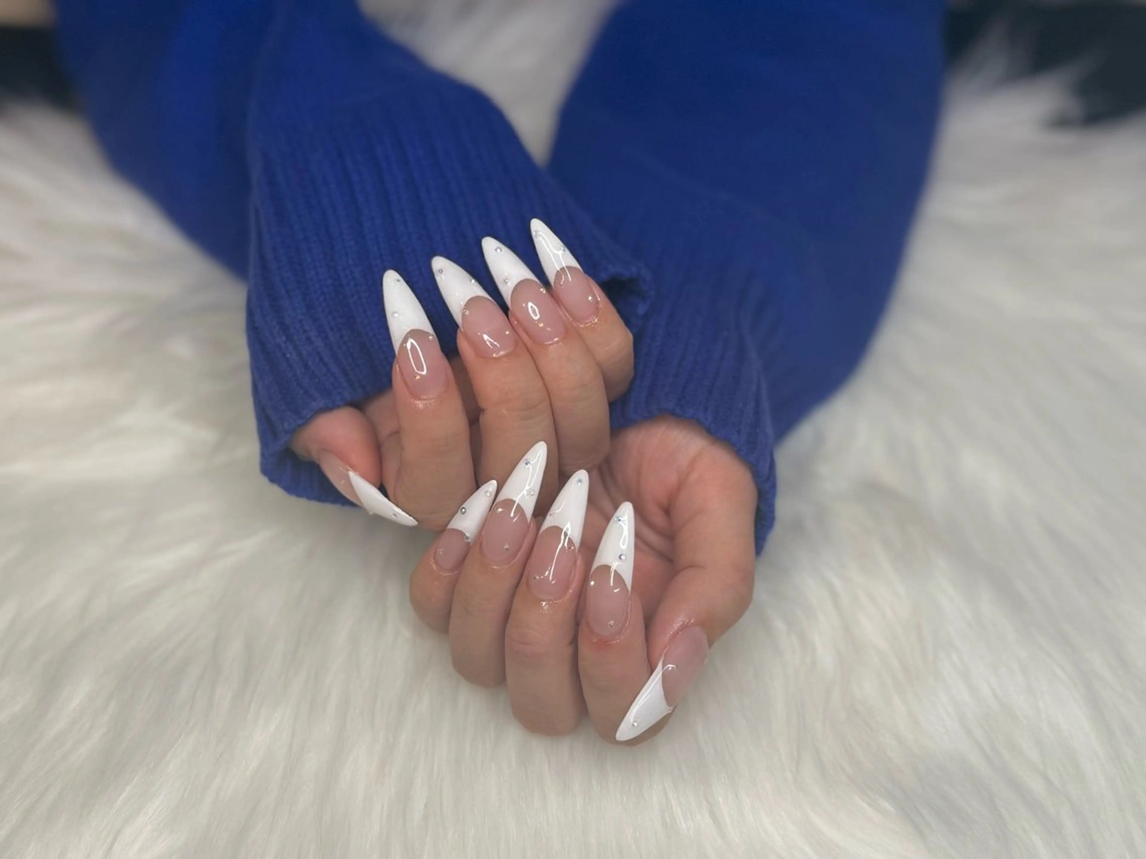 〈オフあり、なし〉マグネット、フレンチの写真