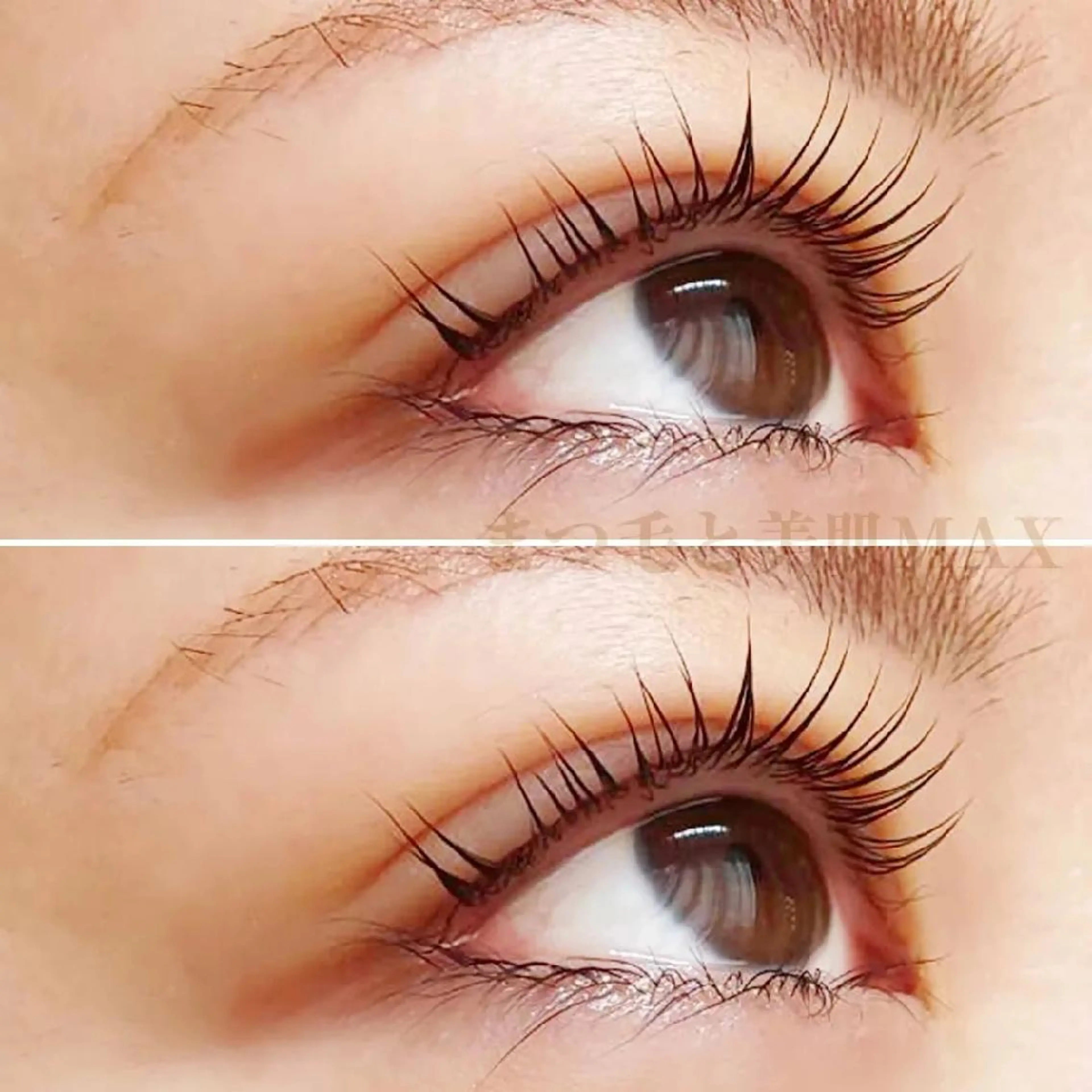 マツエク・マツパ MAXまつ毛&  フェイシャルのマツエク・マツパデザイン