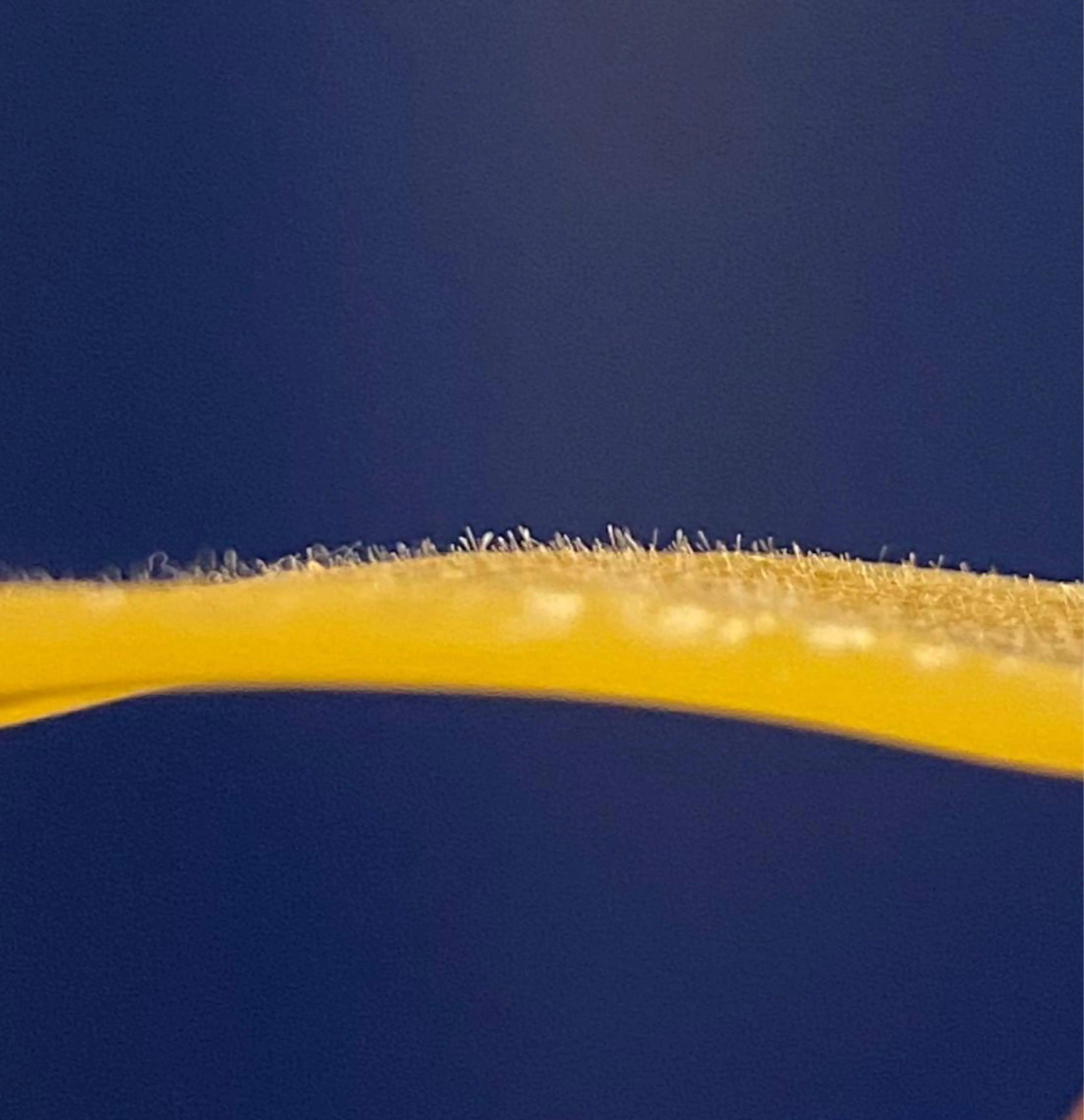 NORI @myuの眉毛・アイブロウイメージ