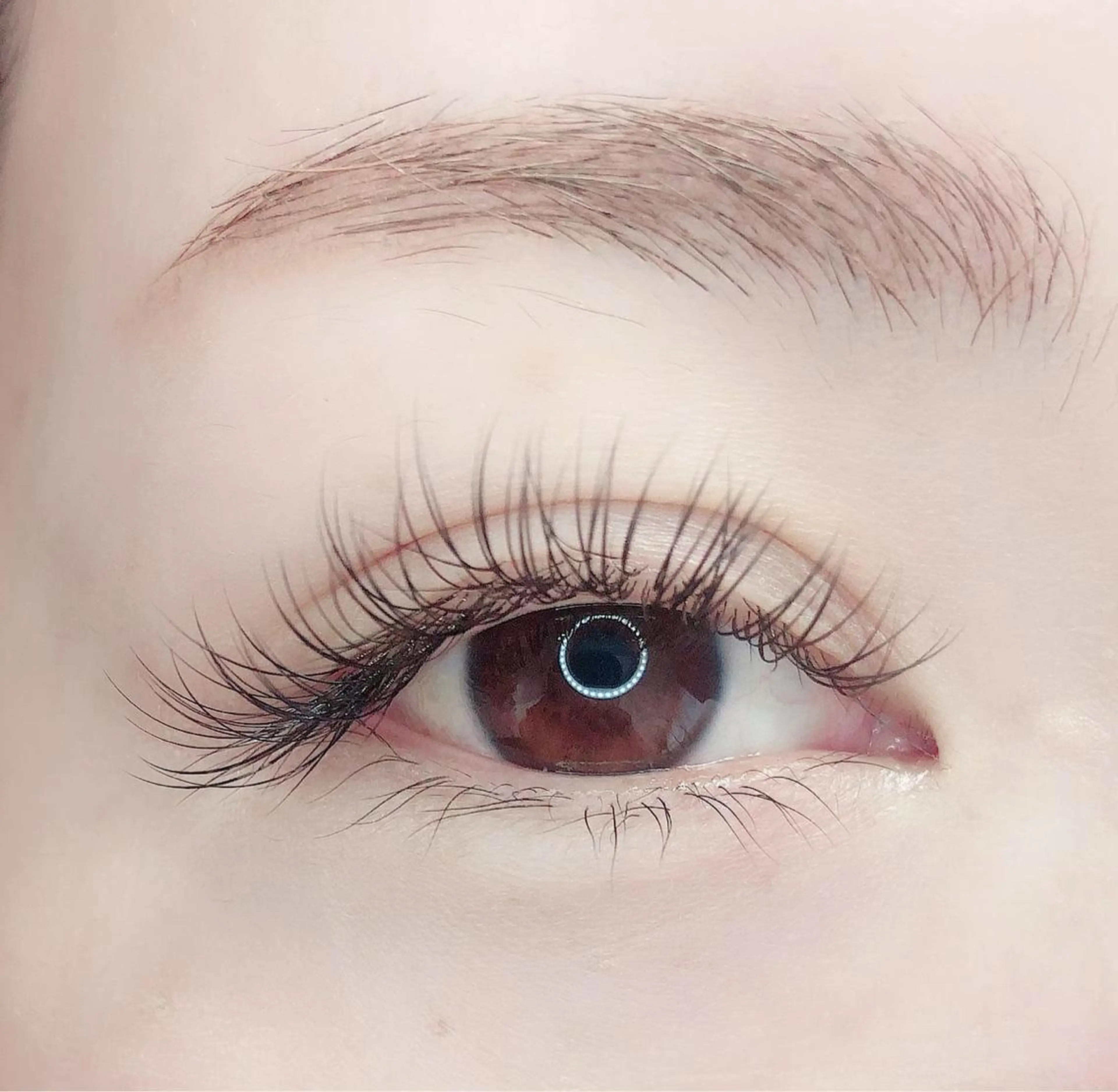 フラットラッシュ★マツエク100本の写真