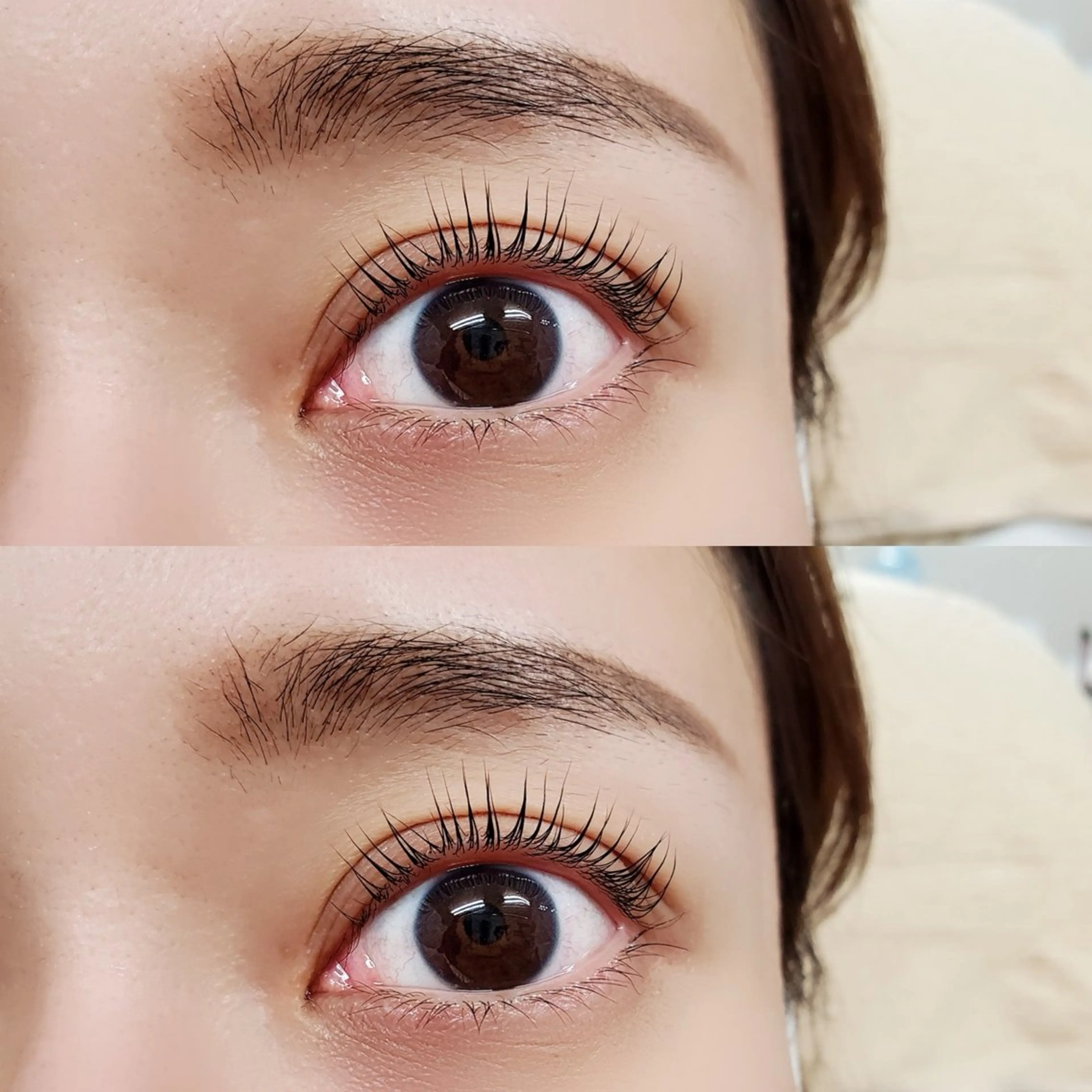 12月限定⭐︎ラッシュリフトorパリジェンヌラッシュリフト　4250円の写真