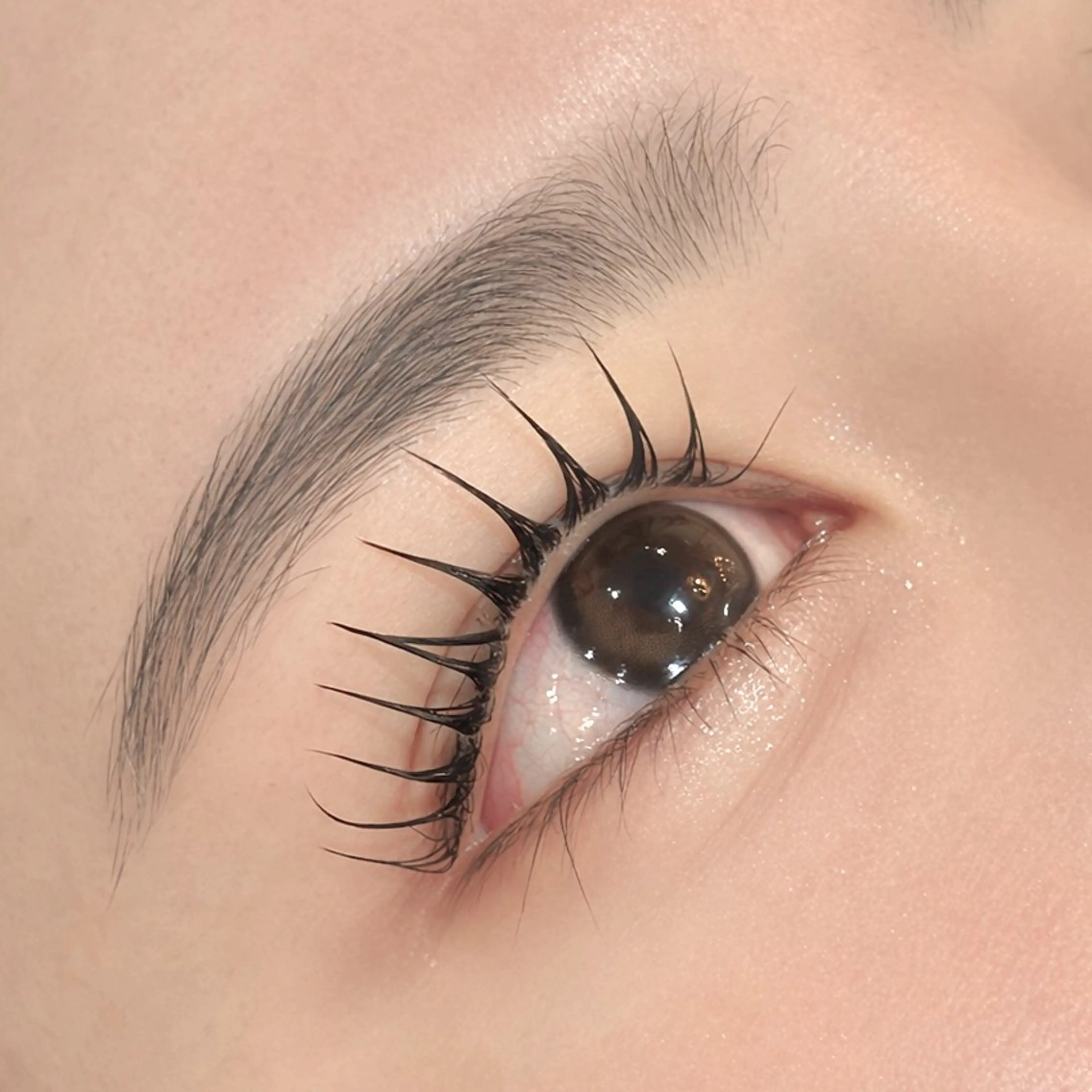 【🎀5月までの限定価格🎀】パリジェンヌorラッシュリフトデザイン選択可（デビュークーポンのため限定価格のご案内です）の写真