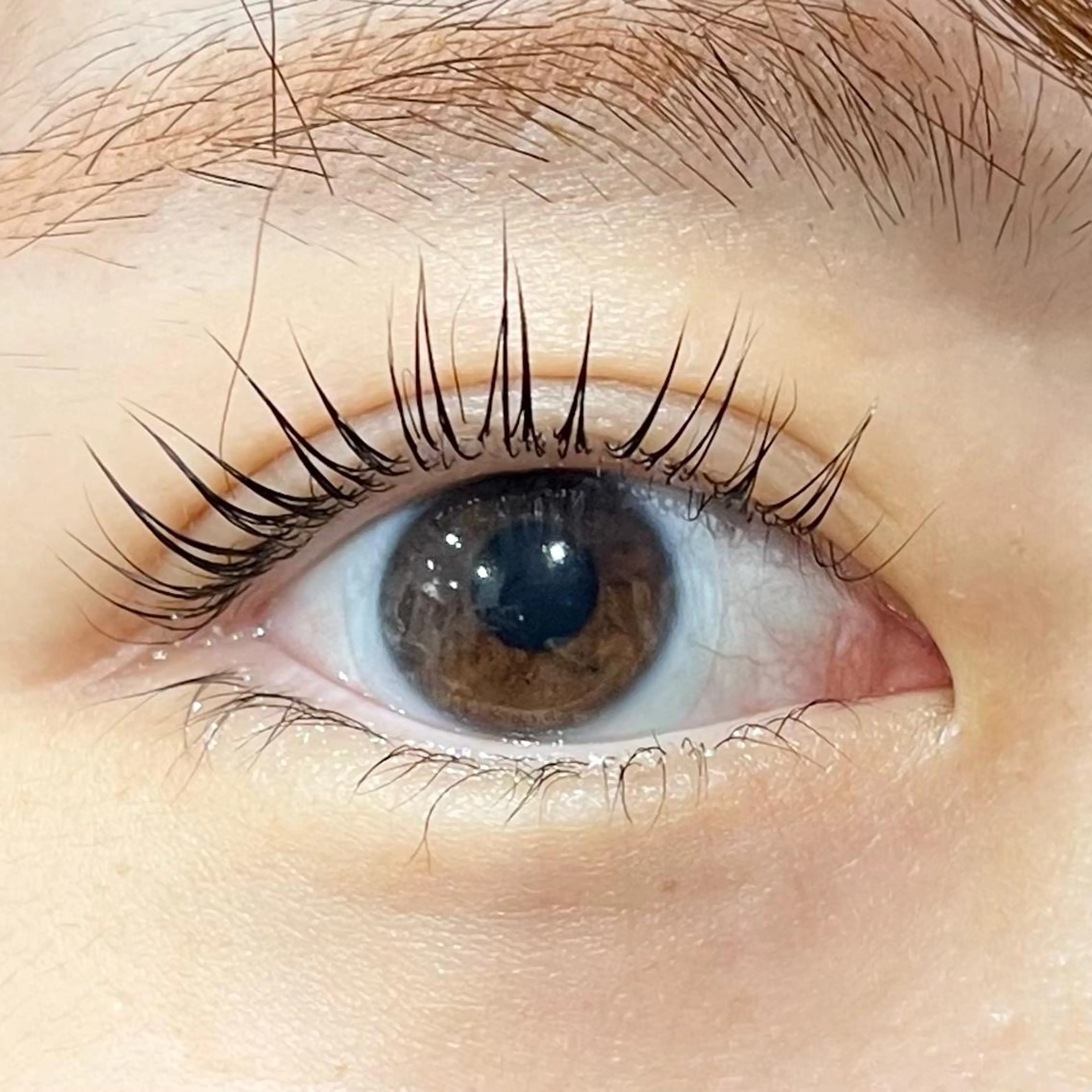 マツエク・マツパ マツパ Shine💫白石 珠紀のマツエク・マツパデザイン