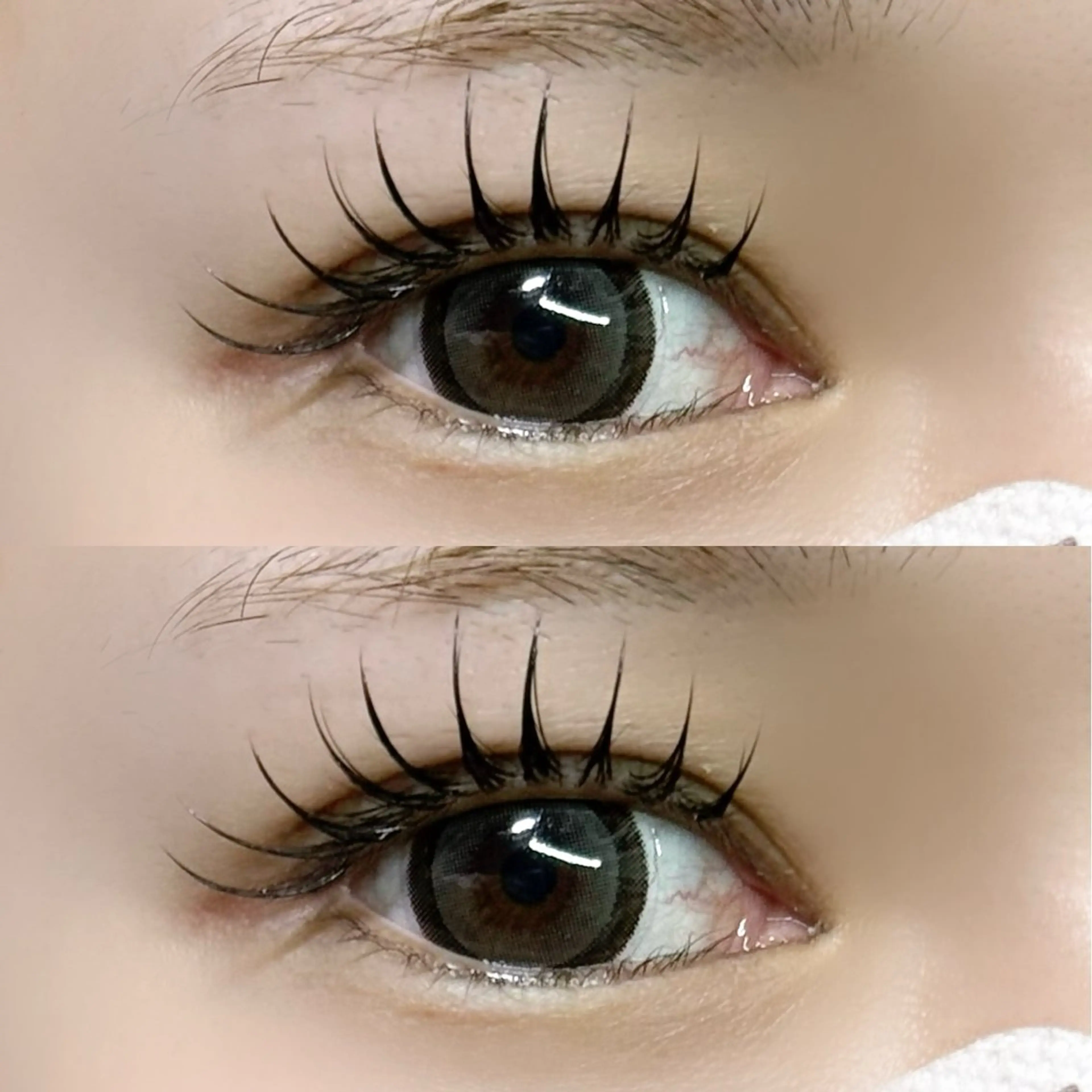 マツエク・マツパ 付け放題 束感まつ毛 アップワードラッシュ scarlet asahiのマツエク・マツパデザイン