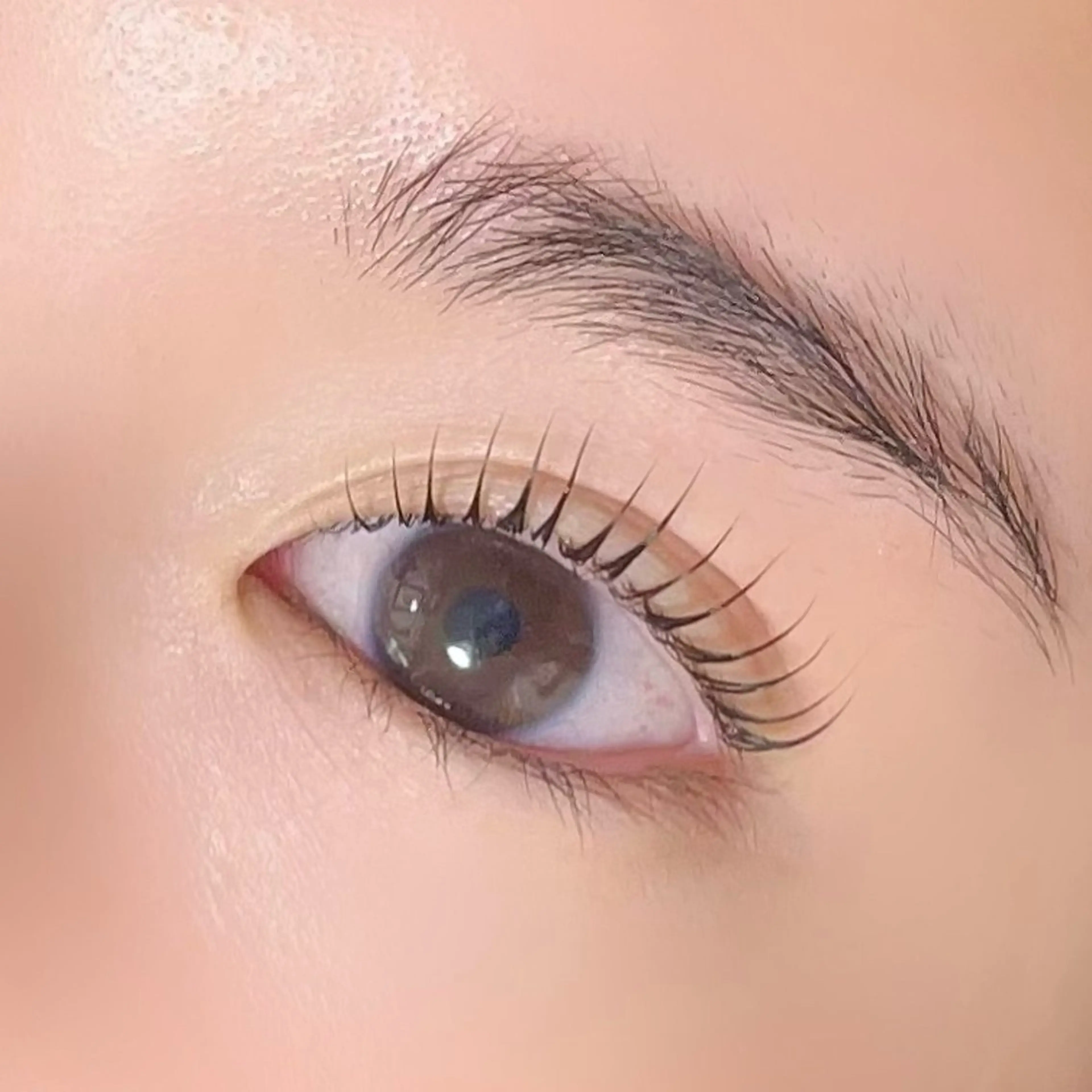 マツエク・マツパ マツパ Rafre所属・Rafre【ラフレ】 タカヤマのマツエク・マツパデザイン