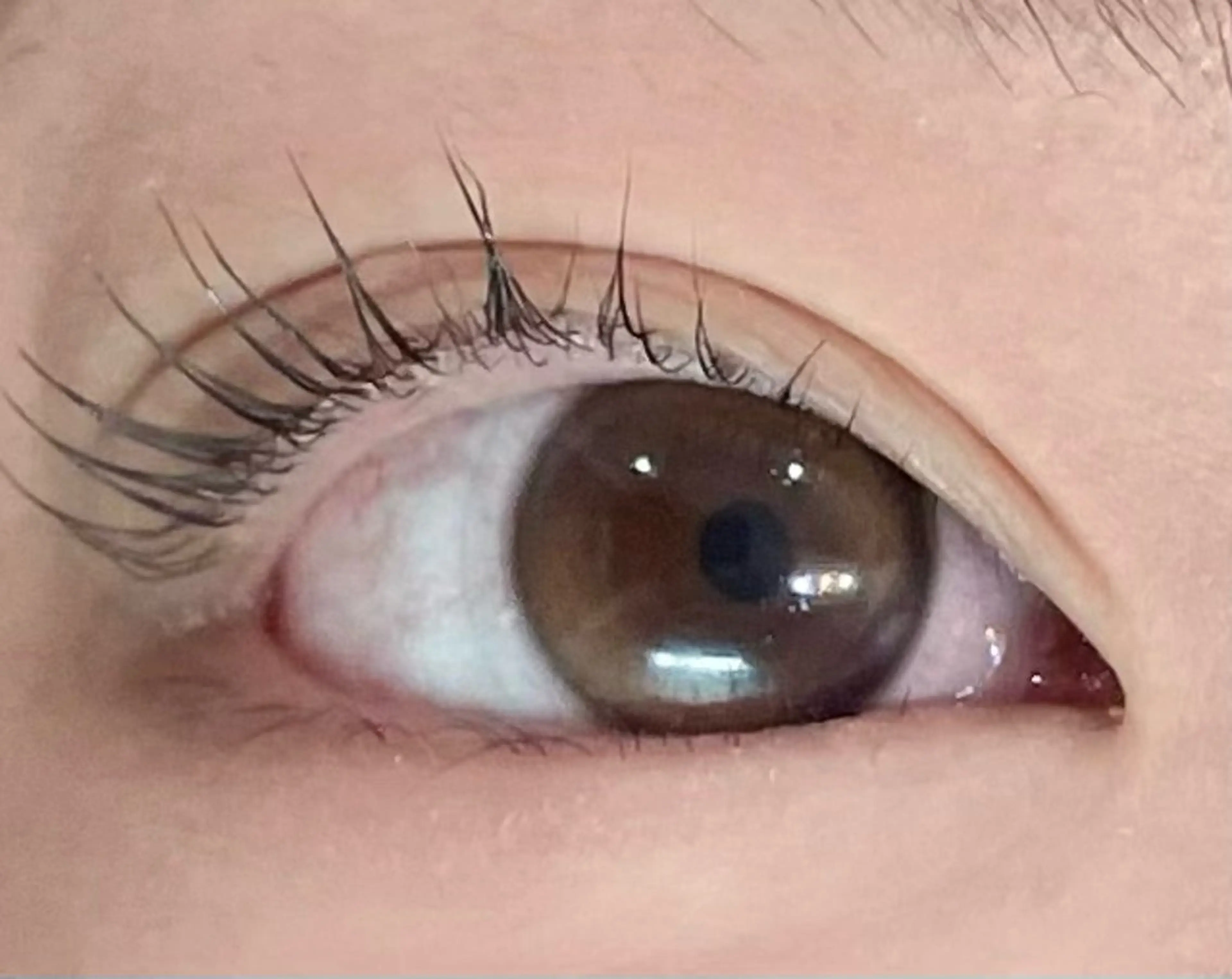 マツエク・マツパ EYELA(アイラ)柏店所属・👑EYELA 柏／ 川村👑のマツエク・マツパデザイン