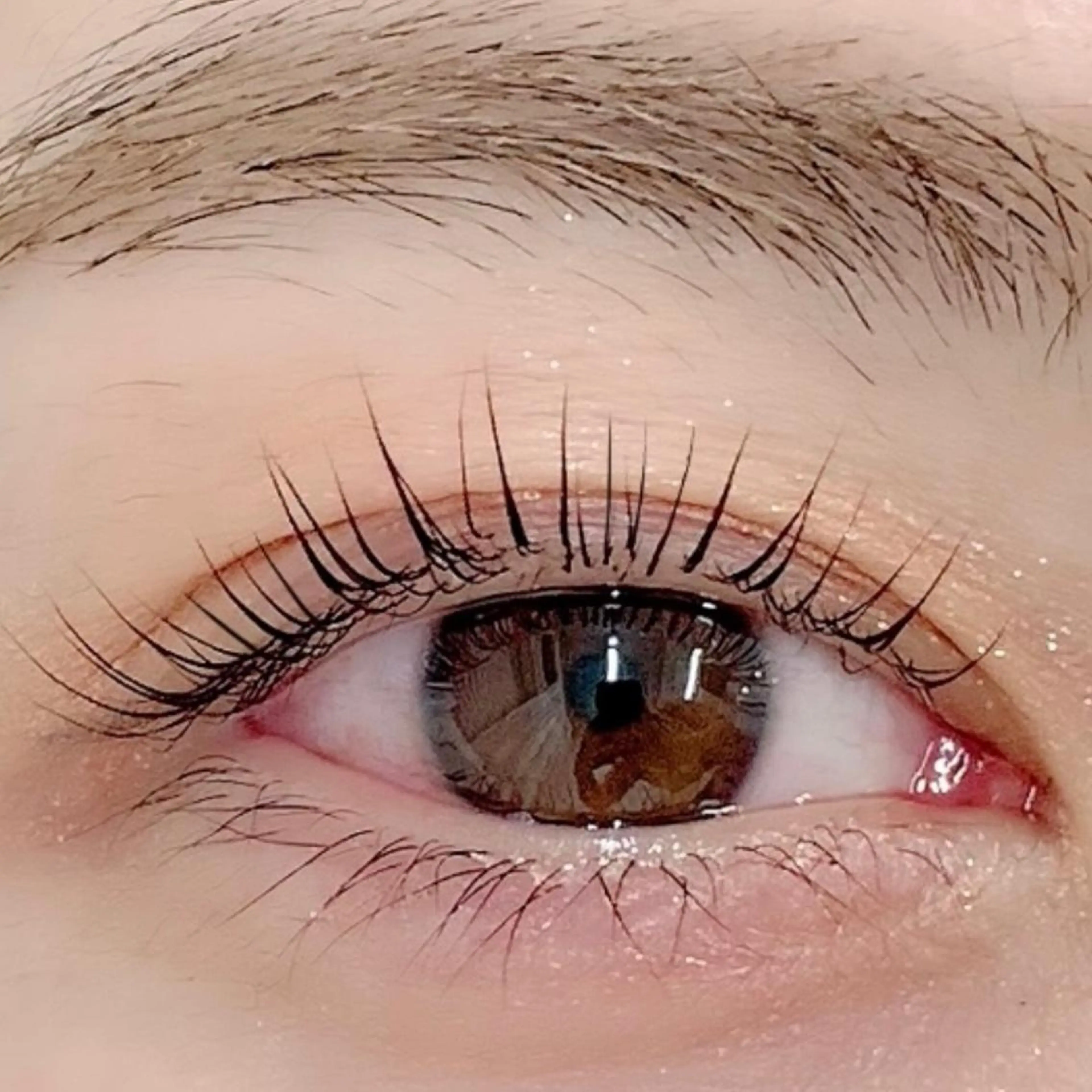 マツエク・マツパ 韓国風マツエク まつげパーマ BellFlower Aki（眉・まつげ）のマツエク・マツパデザイン