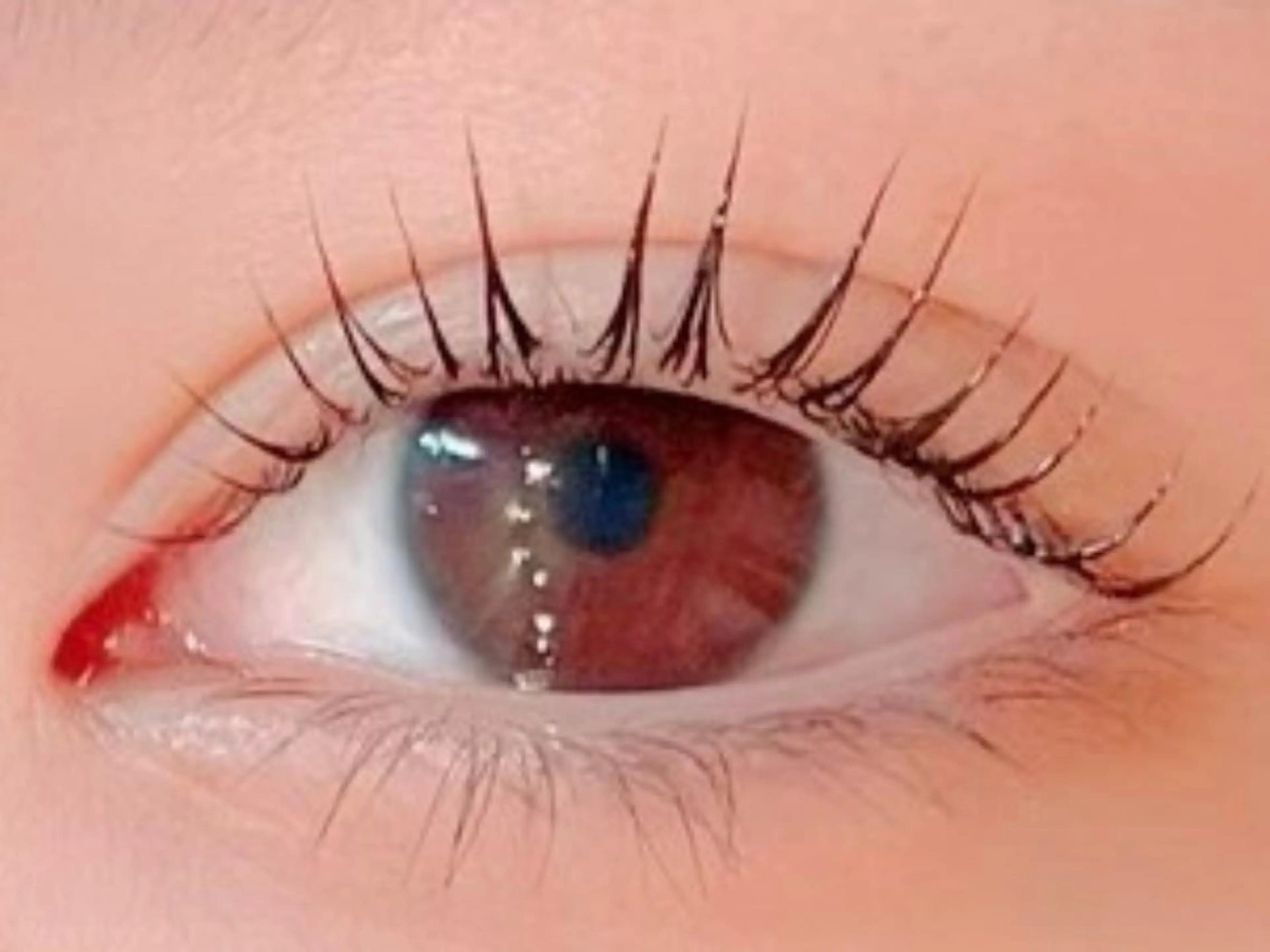 マツエク・マツパ Mian 津田沼のマツエク・マツパデザイン