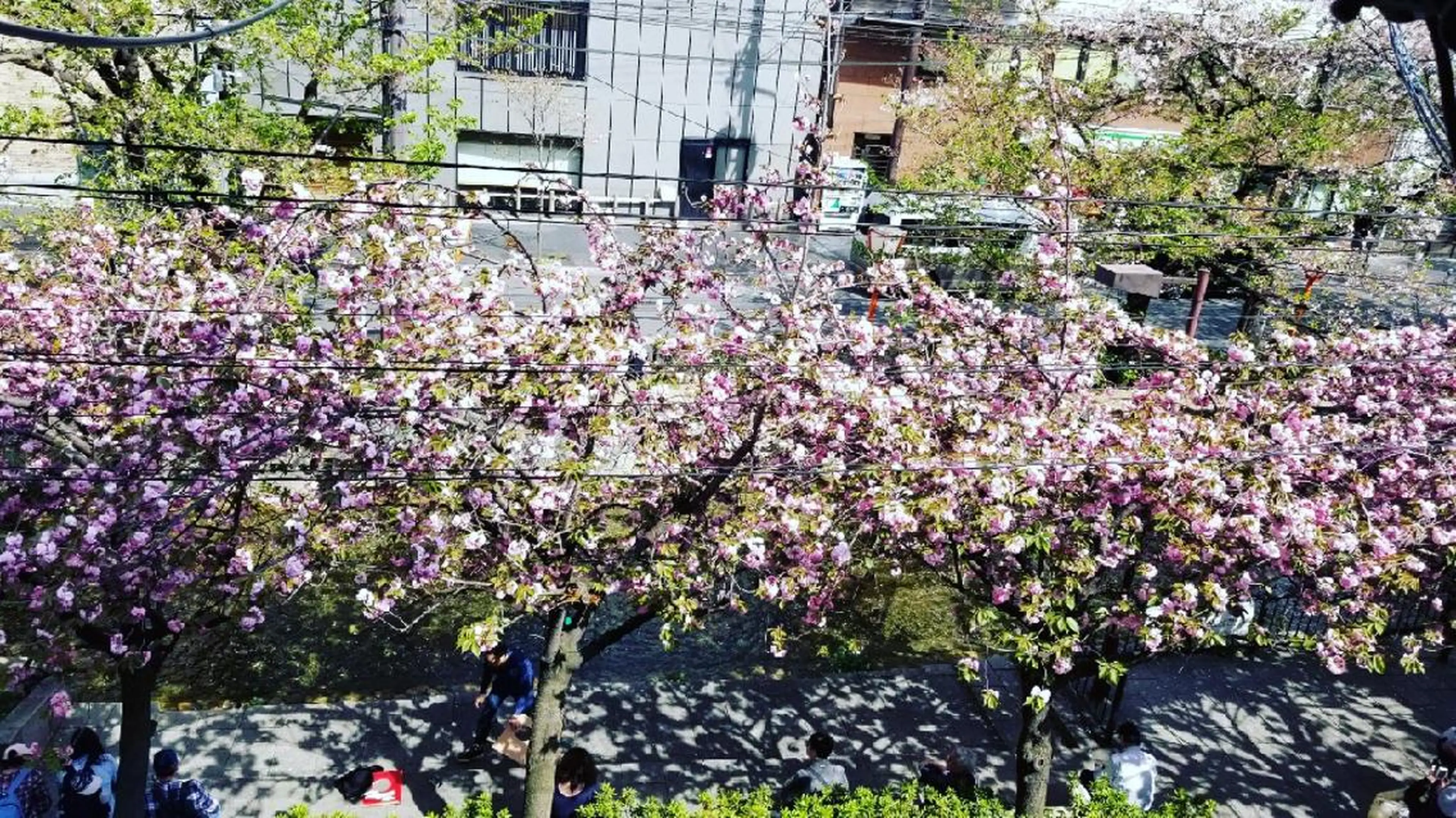 spa hair  ark 富井直美のヘアスタイル