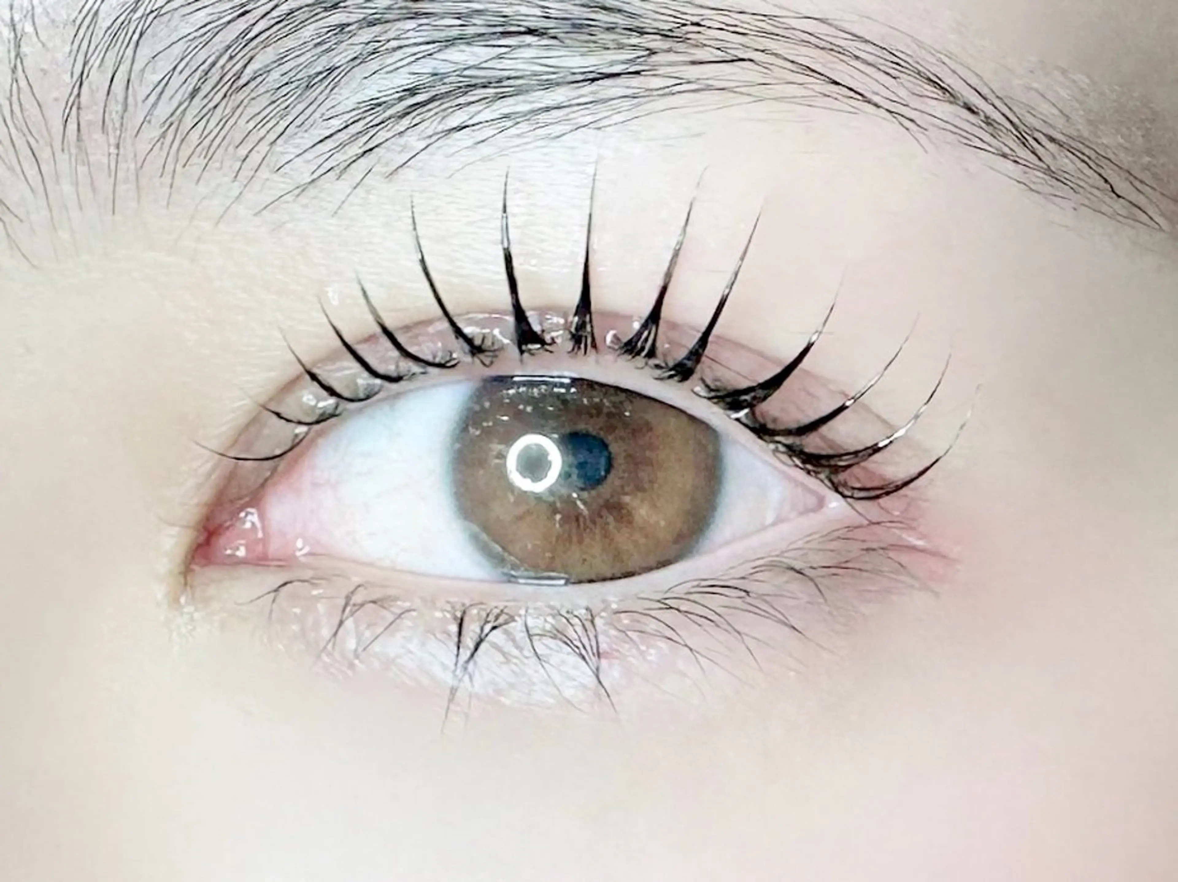 マツエク・マツパ Cカール 一重×まつ毛パーマ bell couleur所属・ベルクルール MIYUのマツエク・マツパデザイン