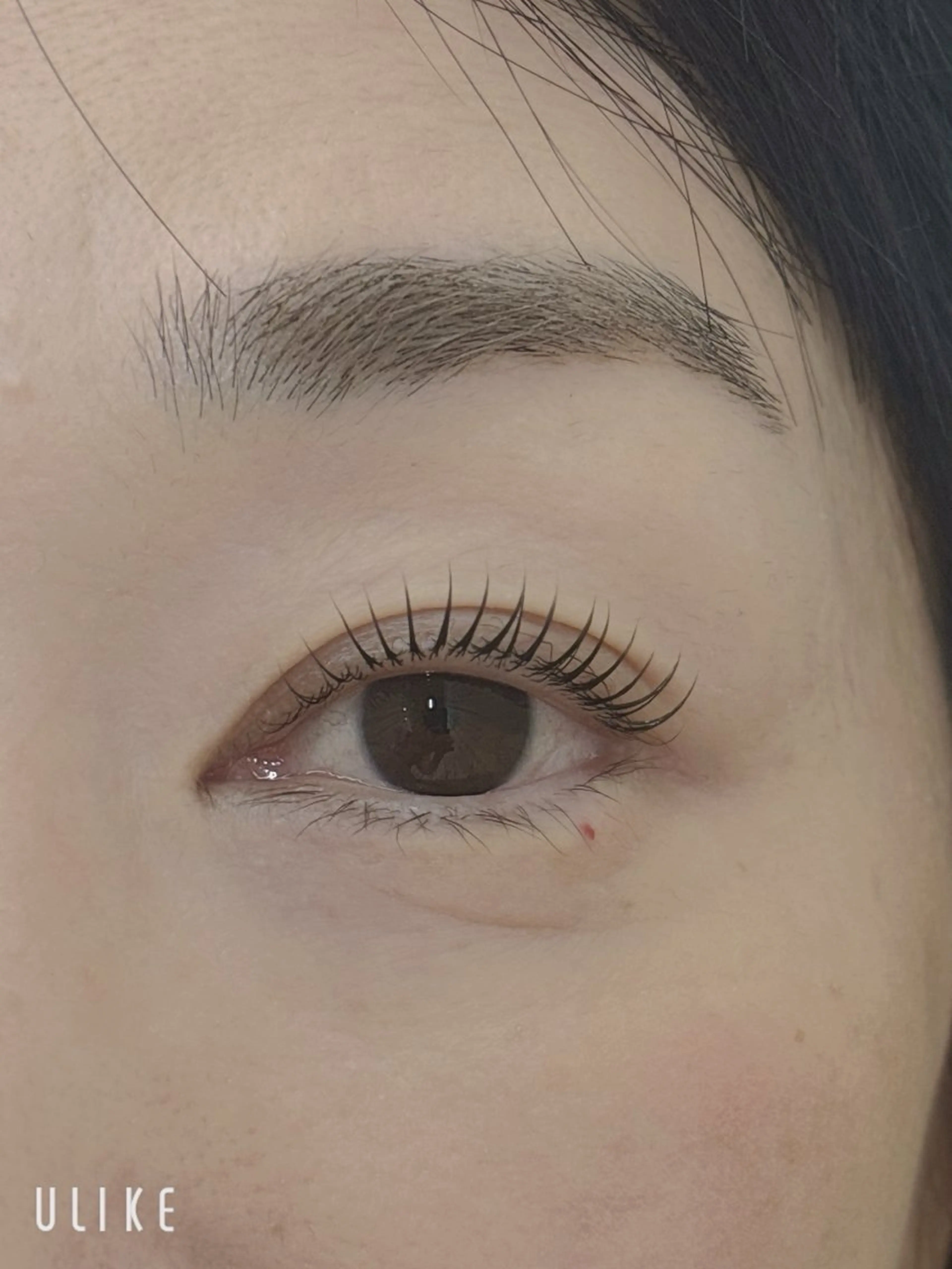 マツエク・マツパ Maison de quatre 大宮店所属・Maison de miyuのマツエク・マツパデザイン