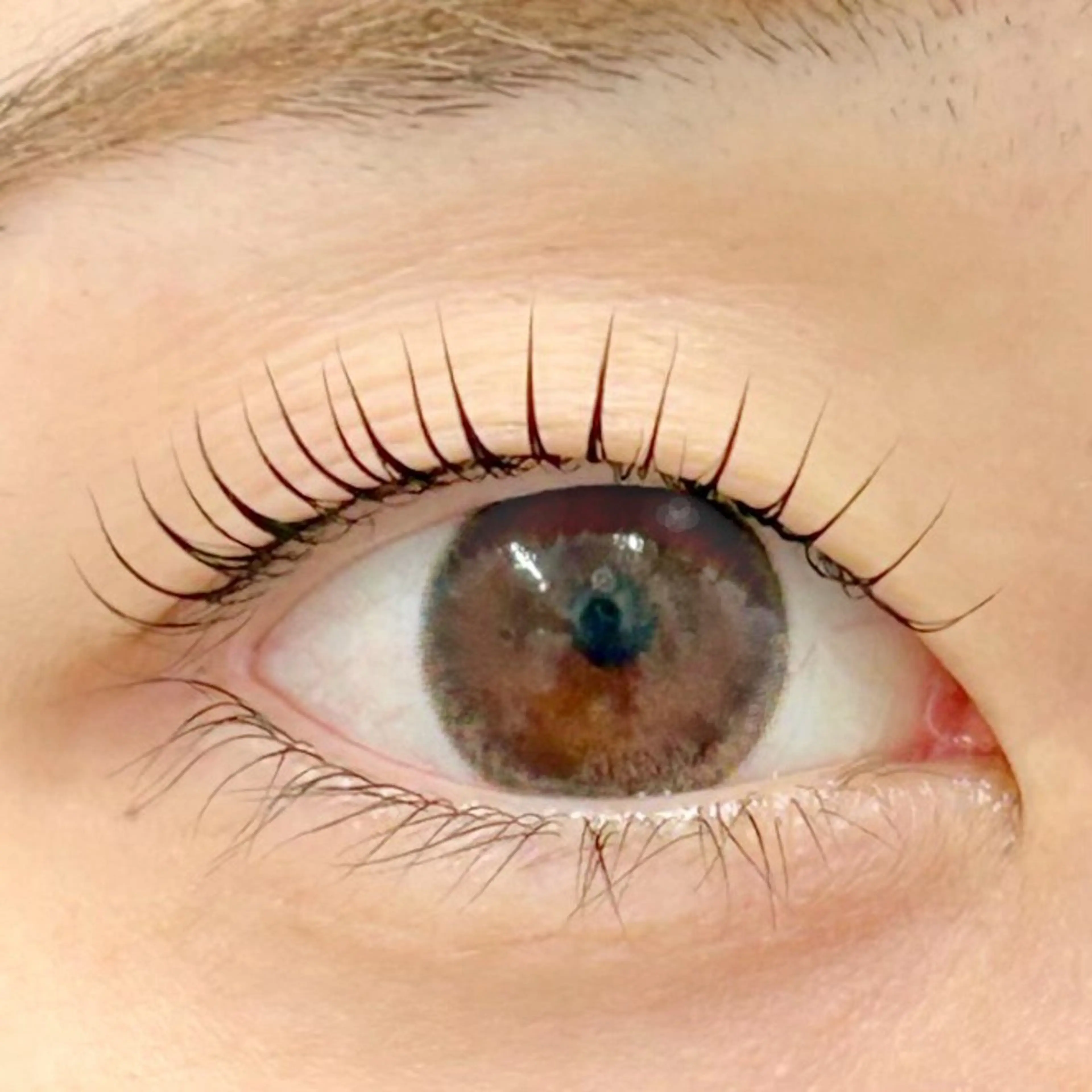 マツエク・マツパ 一重×まつ毛パーマ BellFlower Aki（眉・まつげ）のマツエク・マツパデザイン