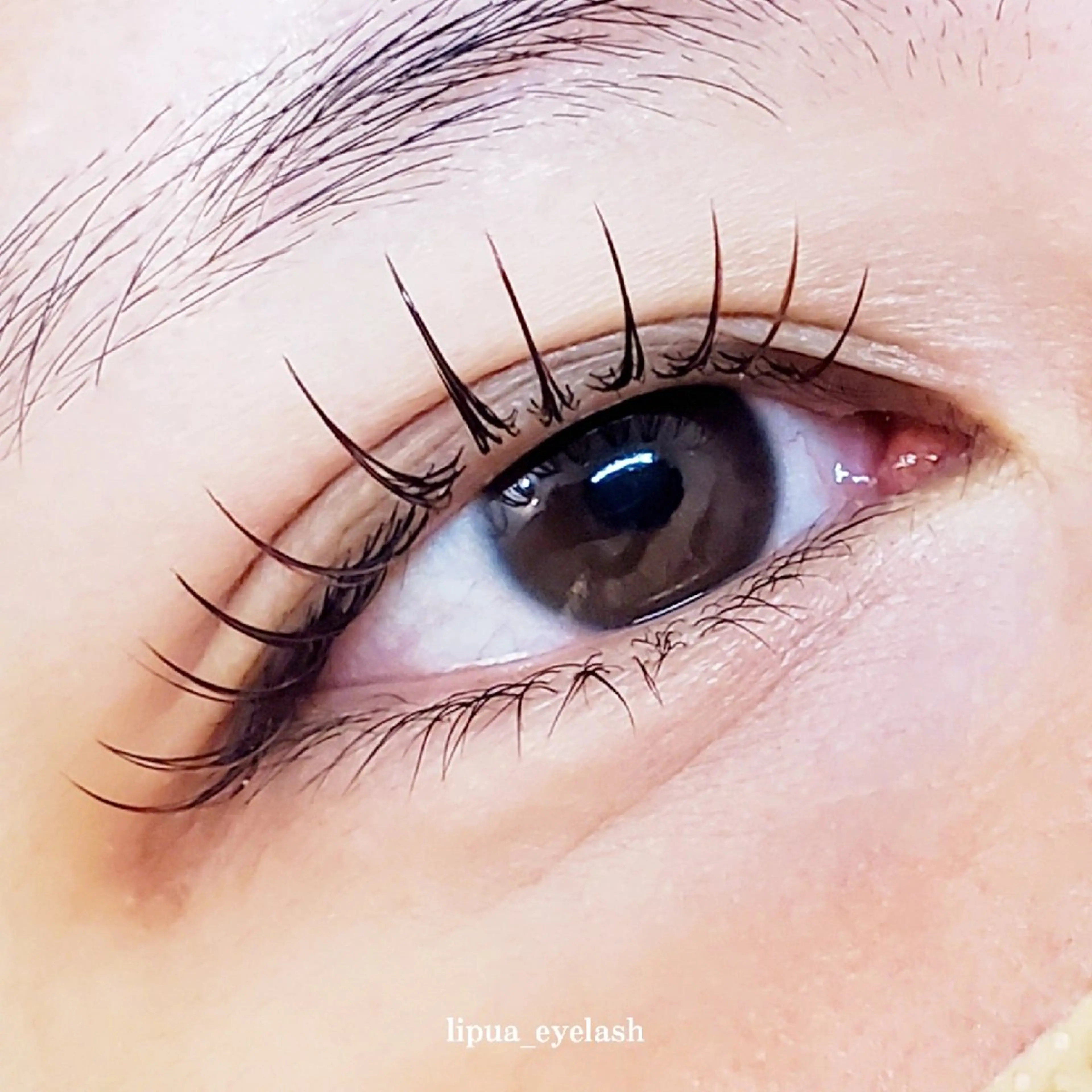 マツエク・マツパ li'pua (リプア)のマツエク・マツパデザイン