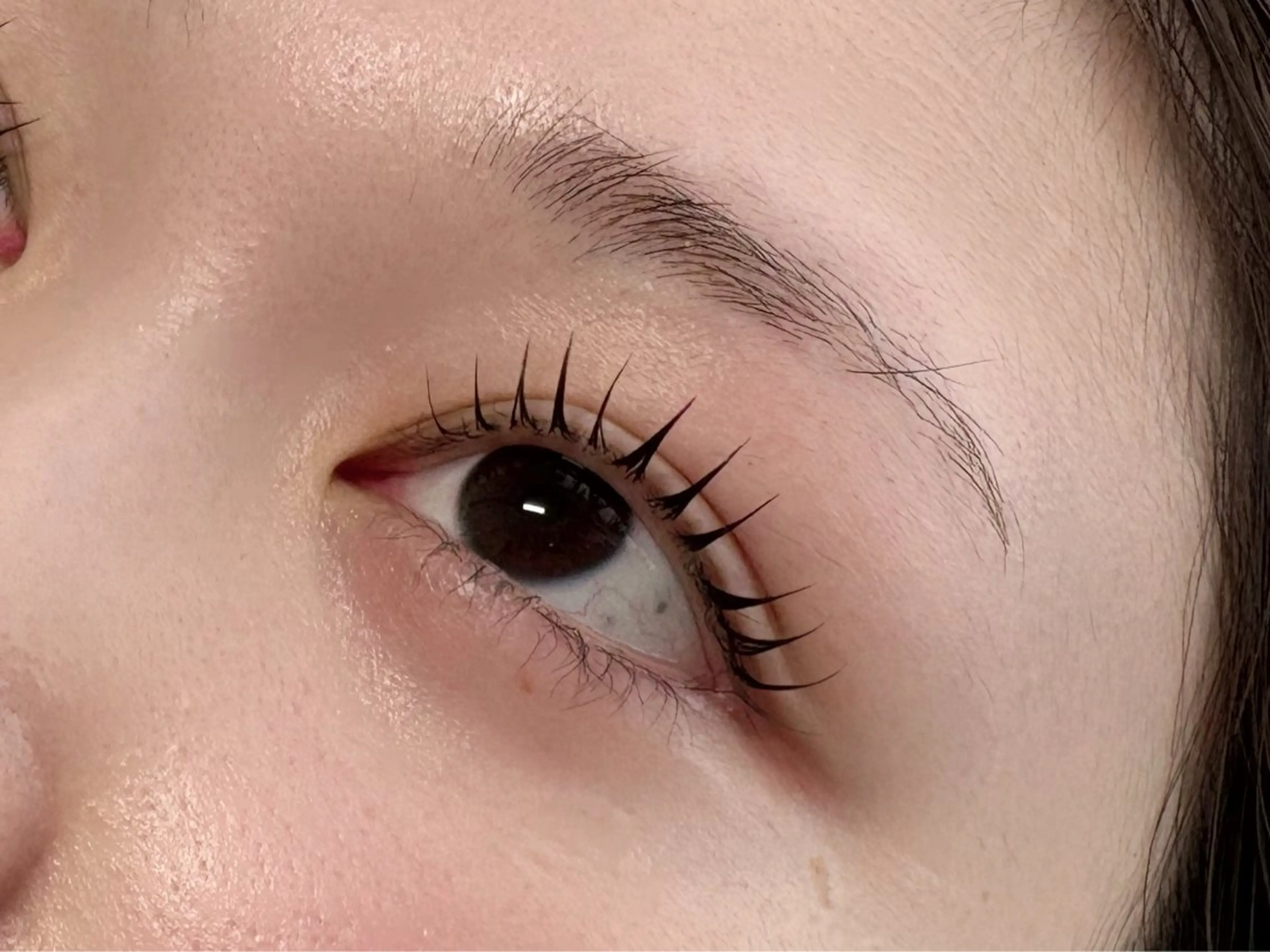 (当日予約)まつ毛パーマor パリジェンヌの写真