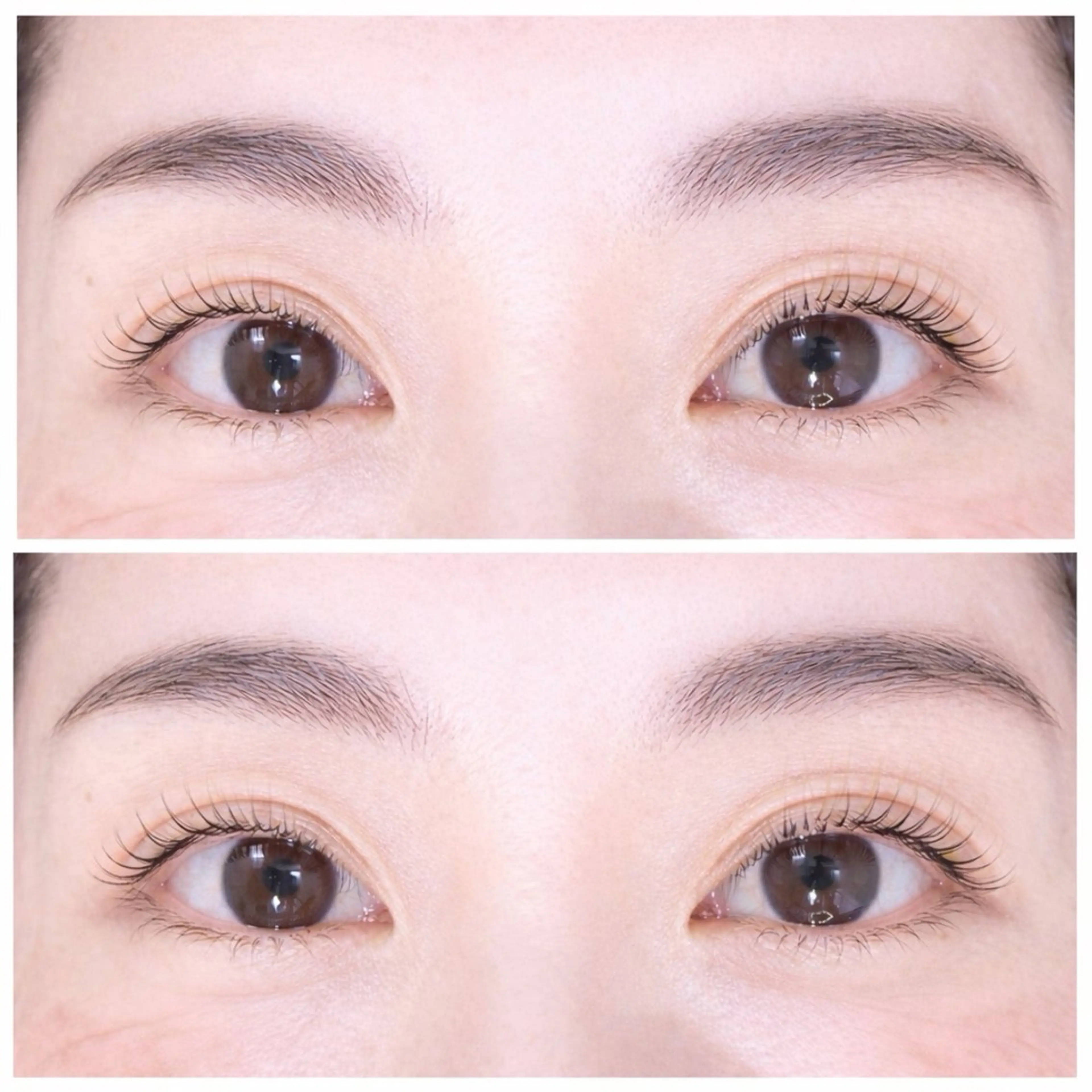 ラッシュリフト(上のみ)👀の写真