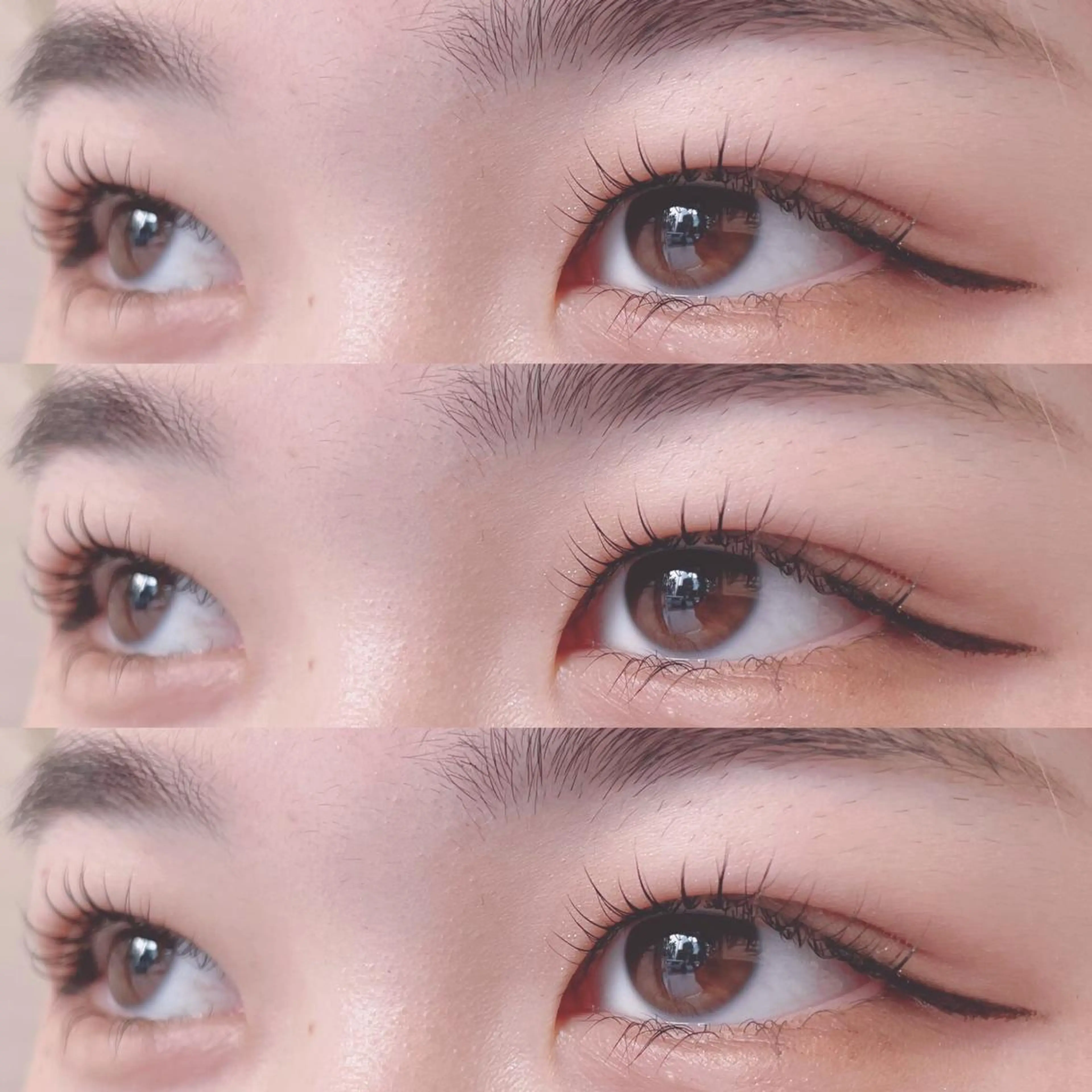 【平日限定！】まつ毛カール上下の写真