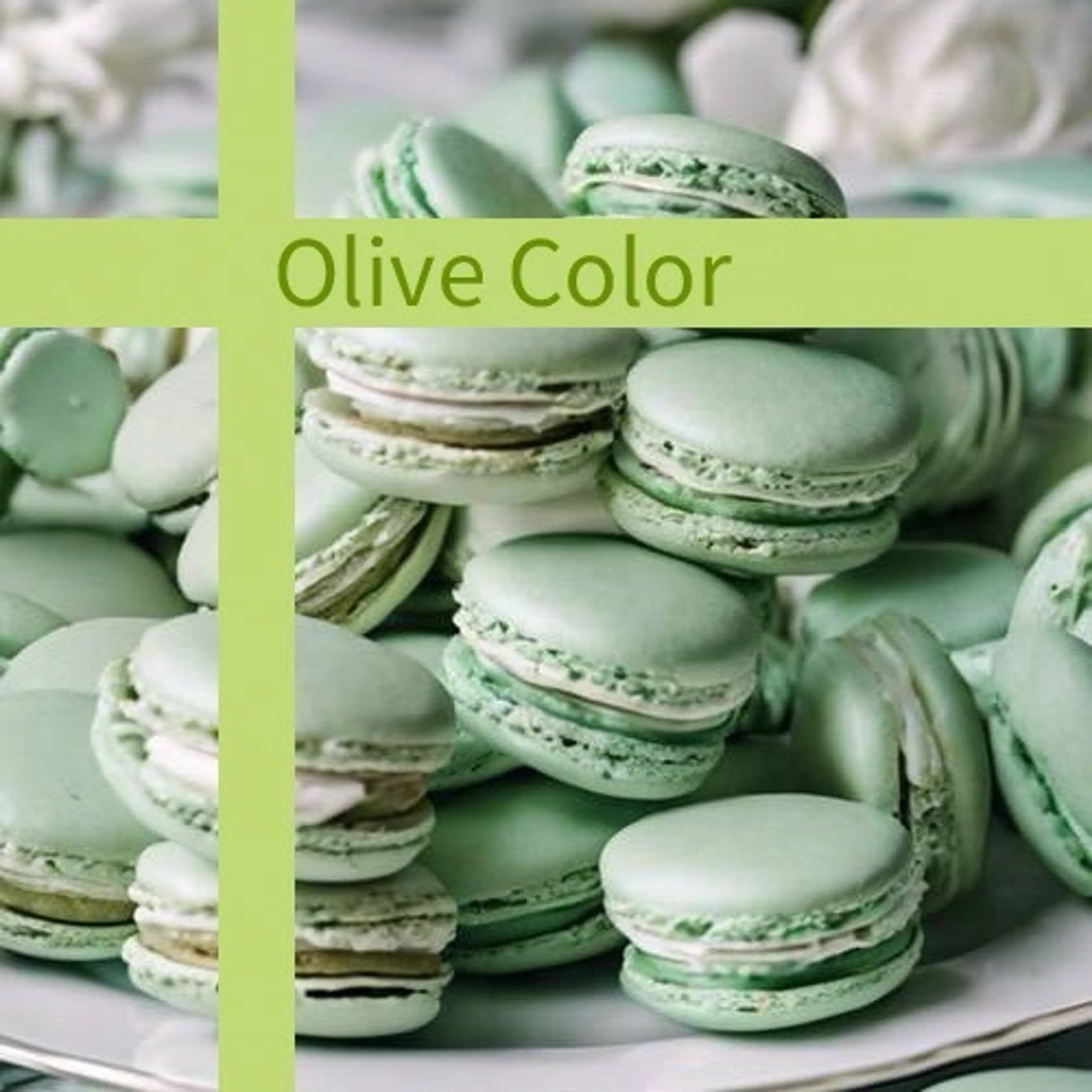 🌱大森柚紀🐇 カットモデル募集中のヘアスタイル