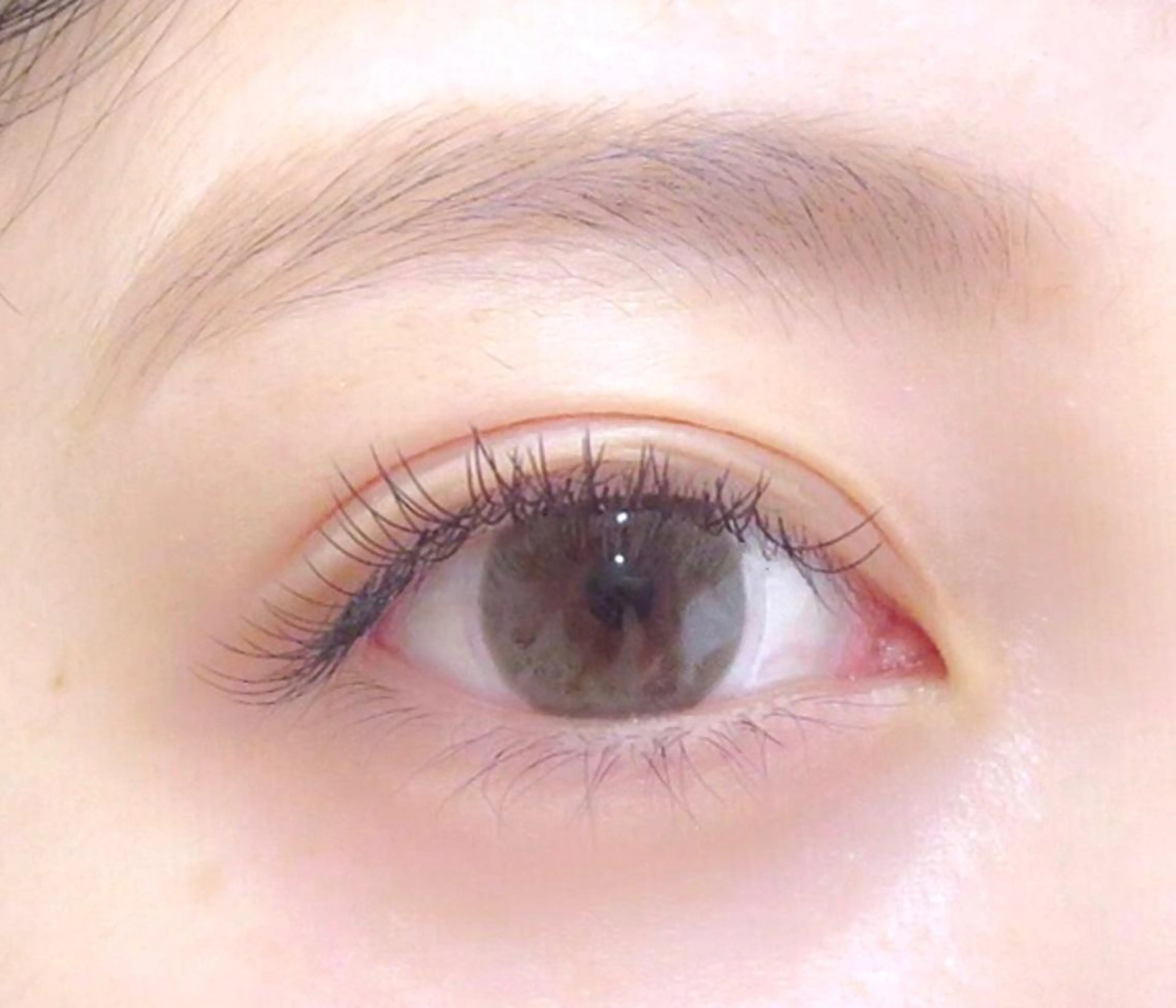 マツエク・マツパ フラットラッシュ マツエク ♡ eriのマツエク・マツパデザイン