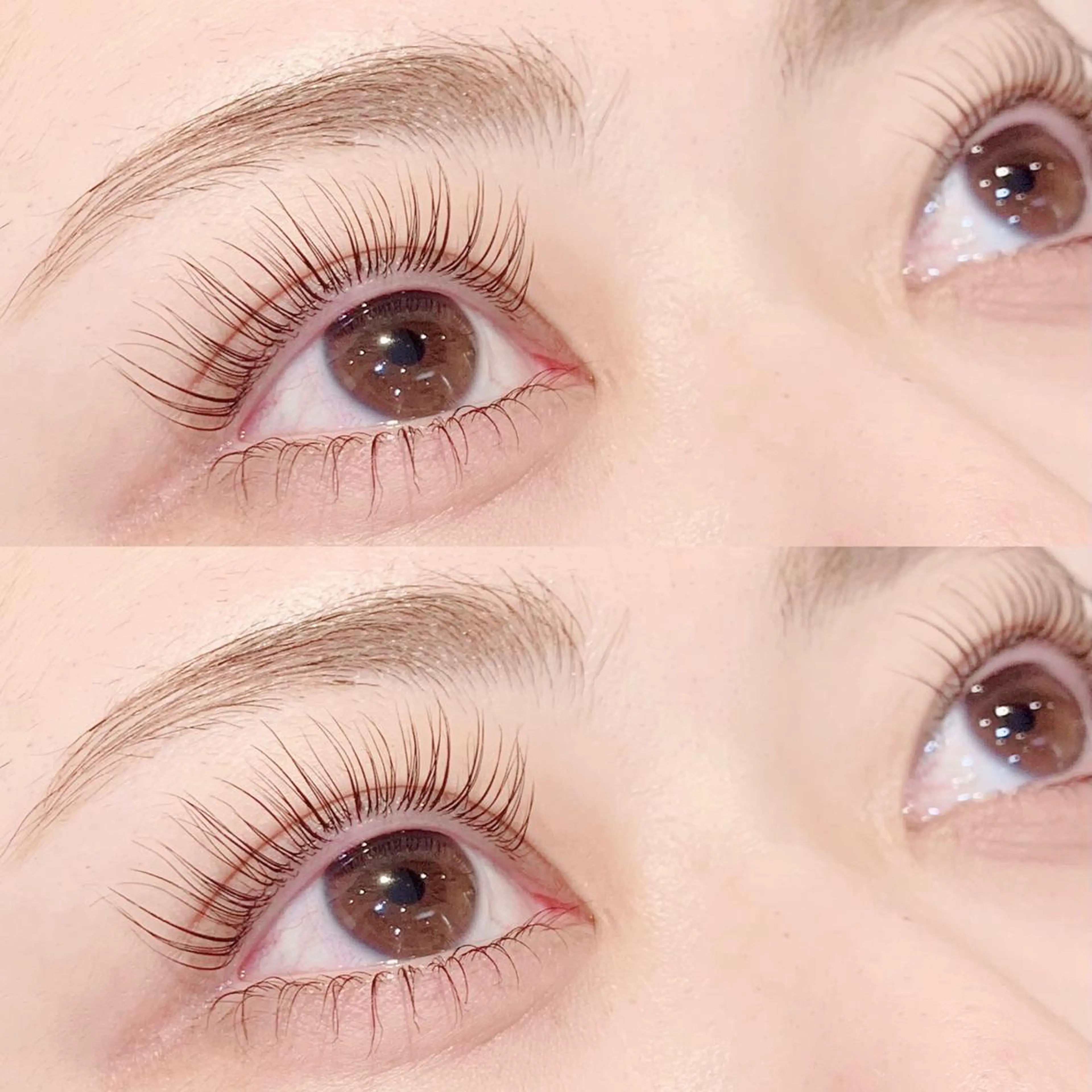 🤍パリジェンヌ上下orラッシュリフト上下🤍の写真