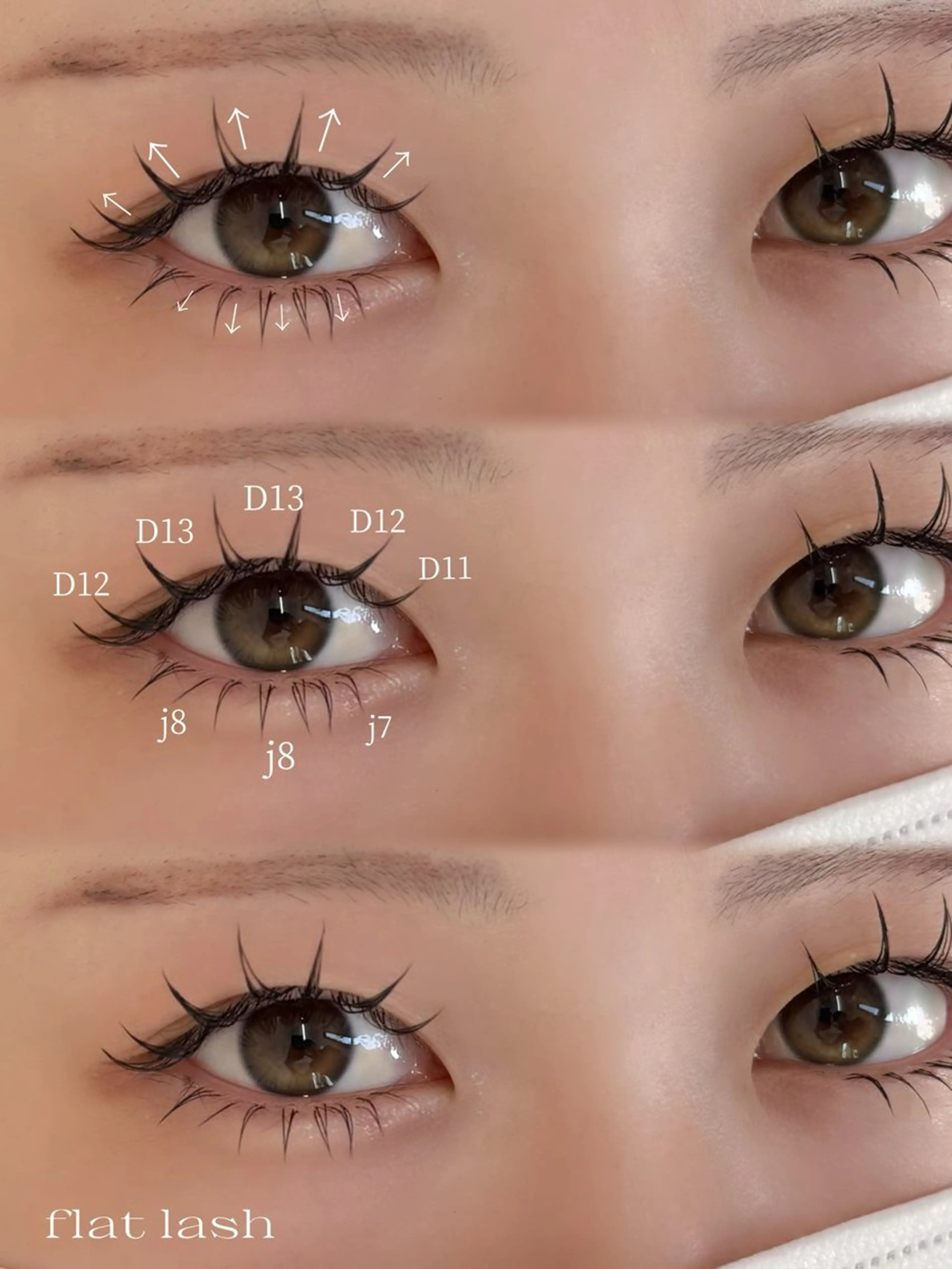 上下フラットラッシュ　【120本】【40本】の写真