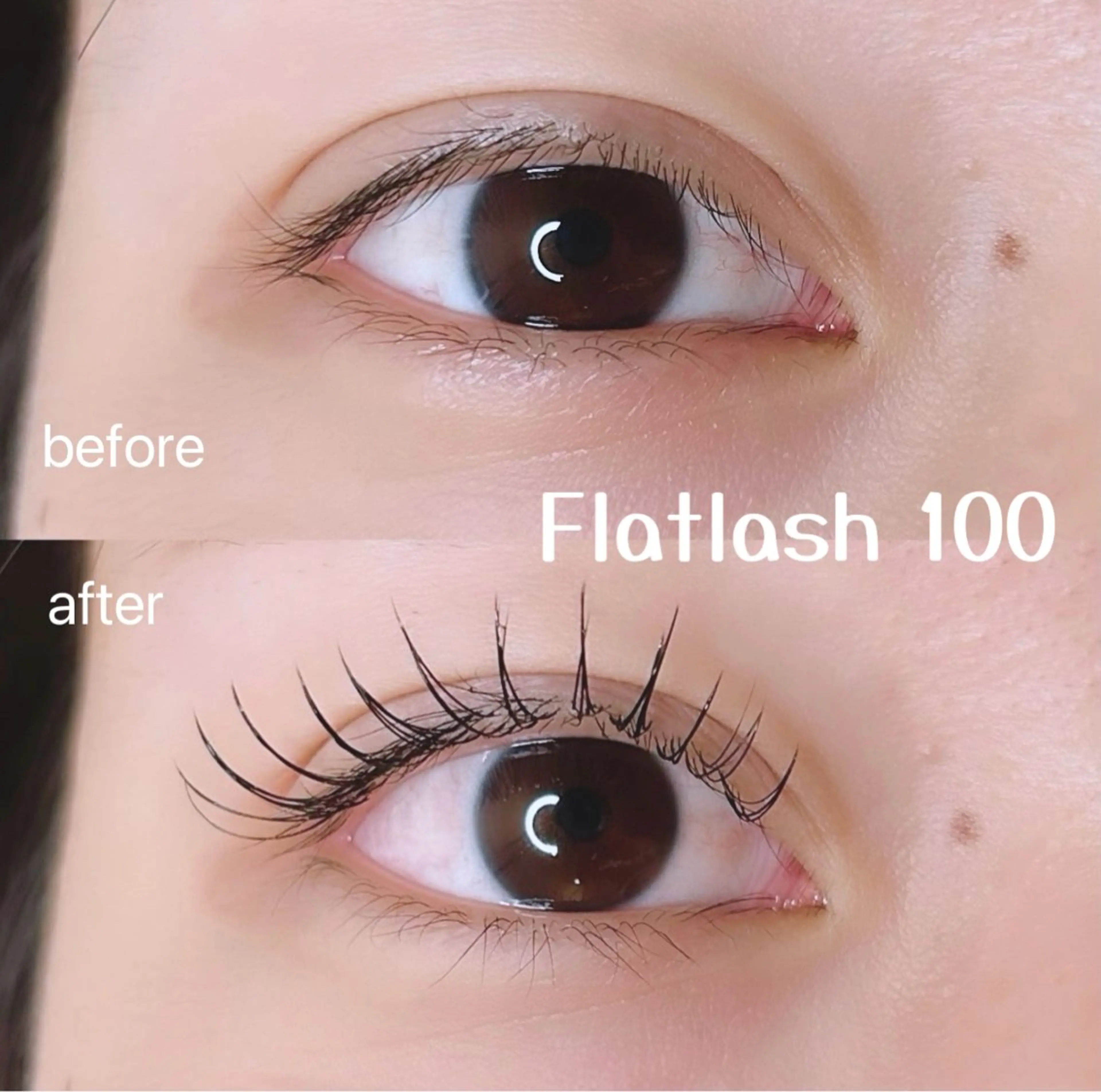 フラットラッシュ100本(オフ込み)アイシャンプー、コーティング付き♪束間仕上げ❄️の写真