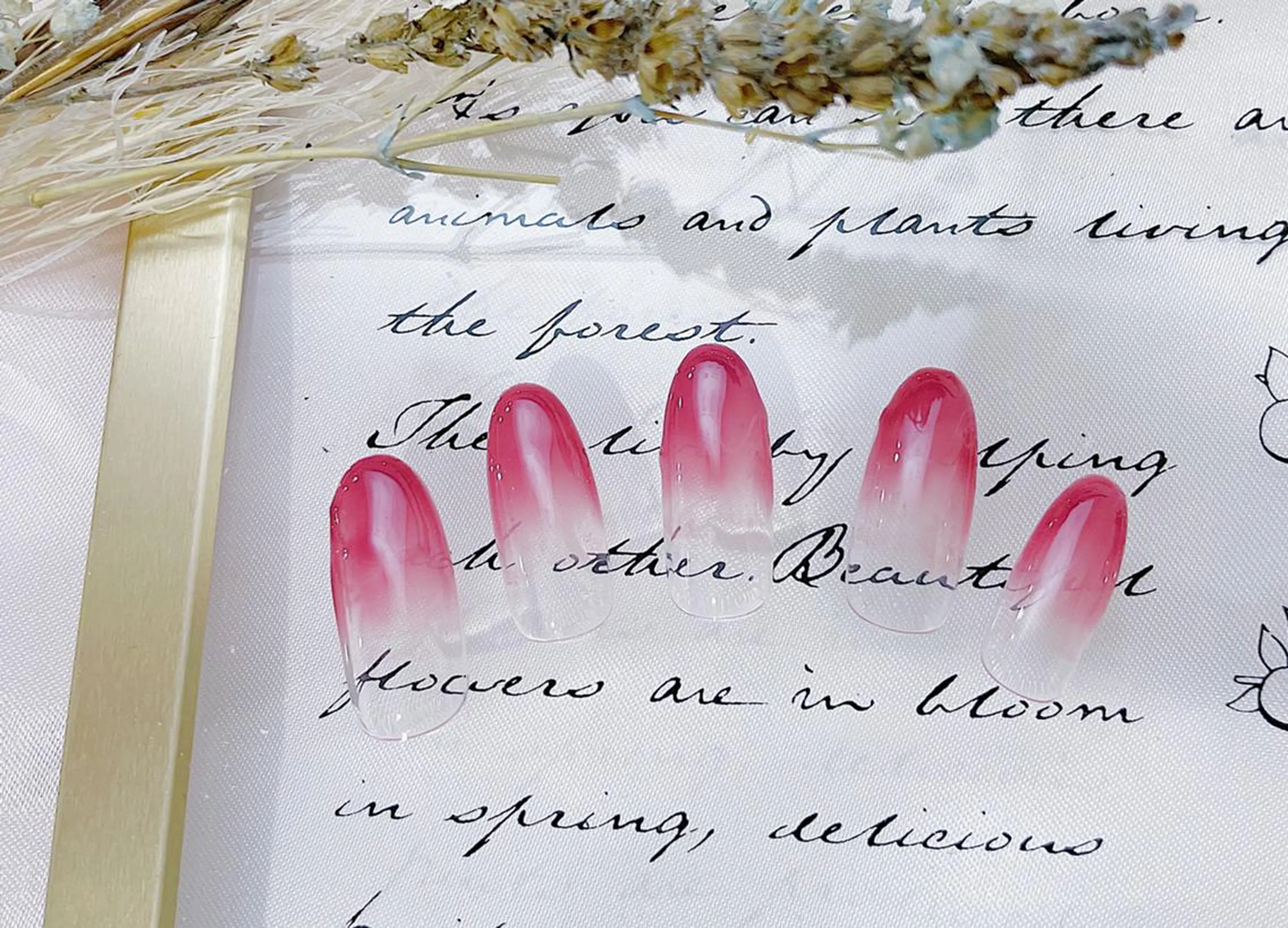 カラーグラデーション　【オフあり】の写真