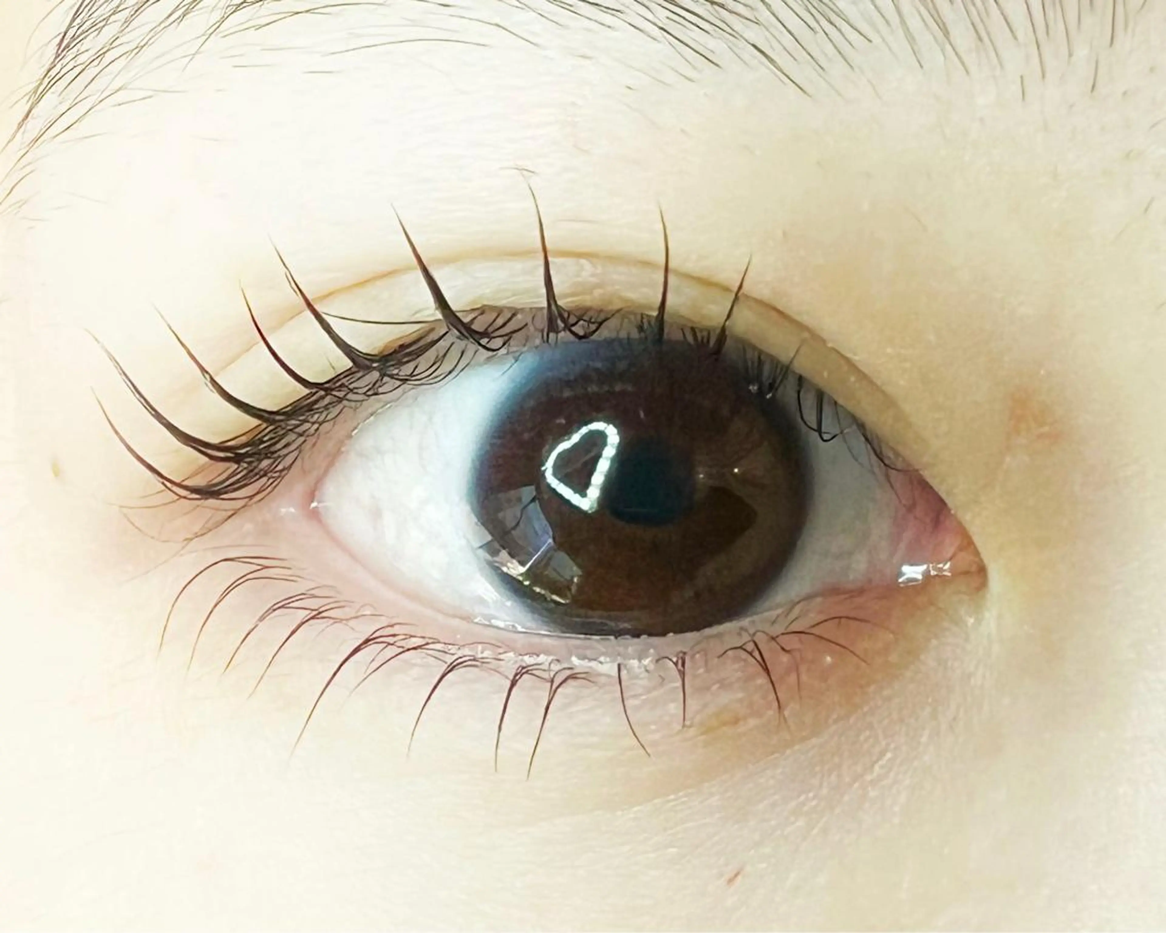 マツエク・マツパ Celeste Venus所属・🧸Celeste Venusのマツエク・マツパデザイン