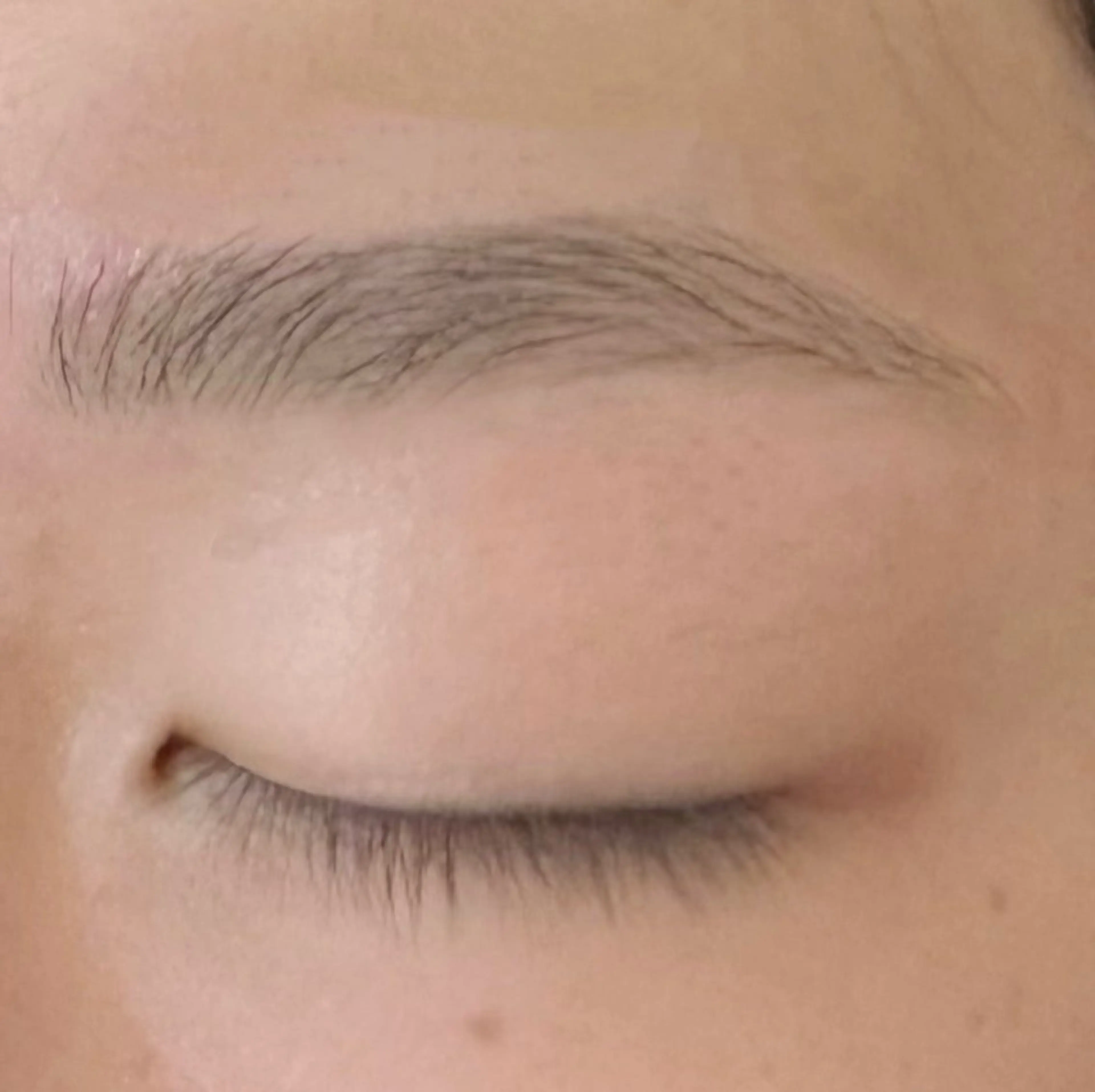 美眉スタイリングの写真