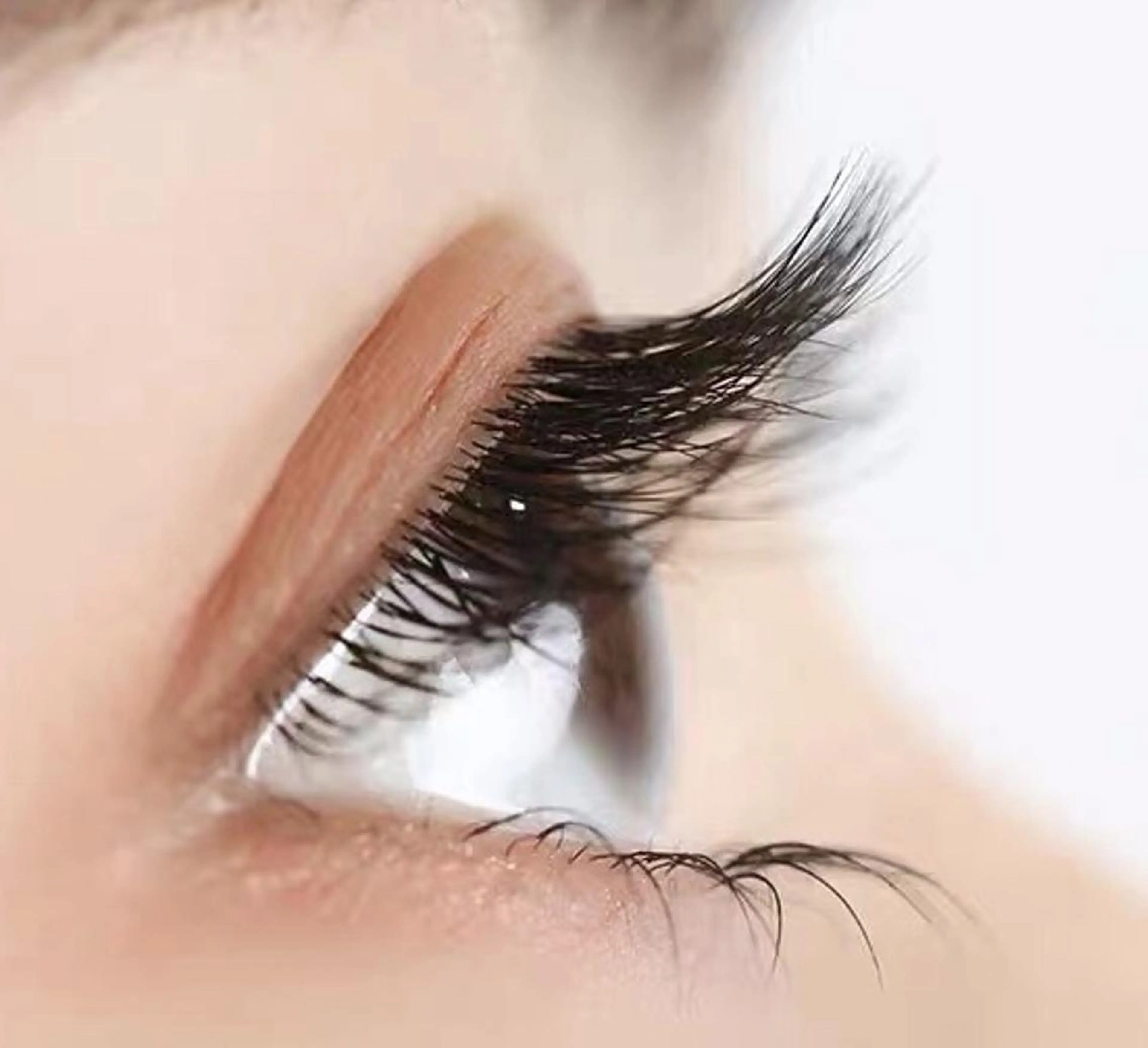 ネイル Cute beauty2のマツエク・マツパデザイン