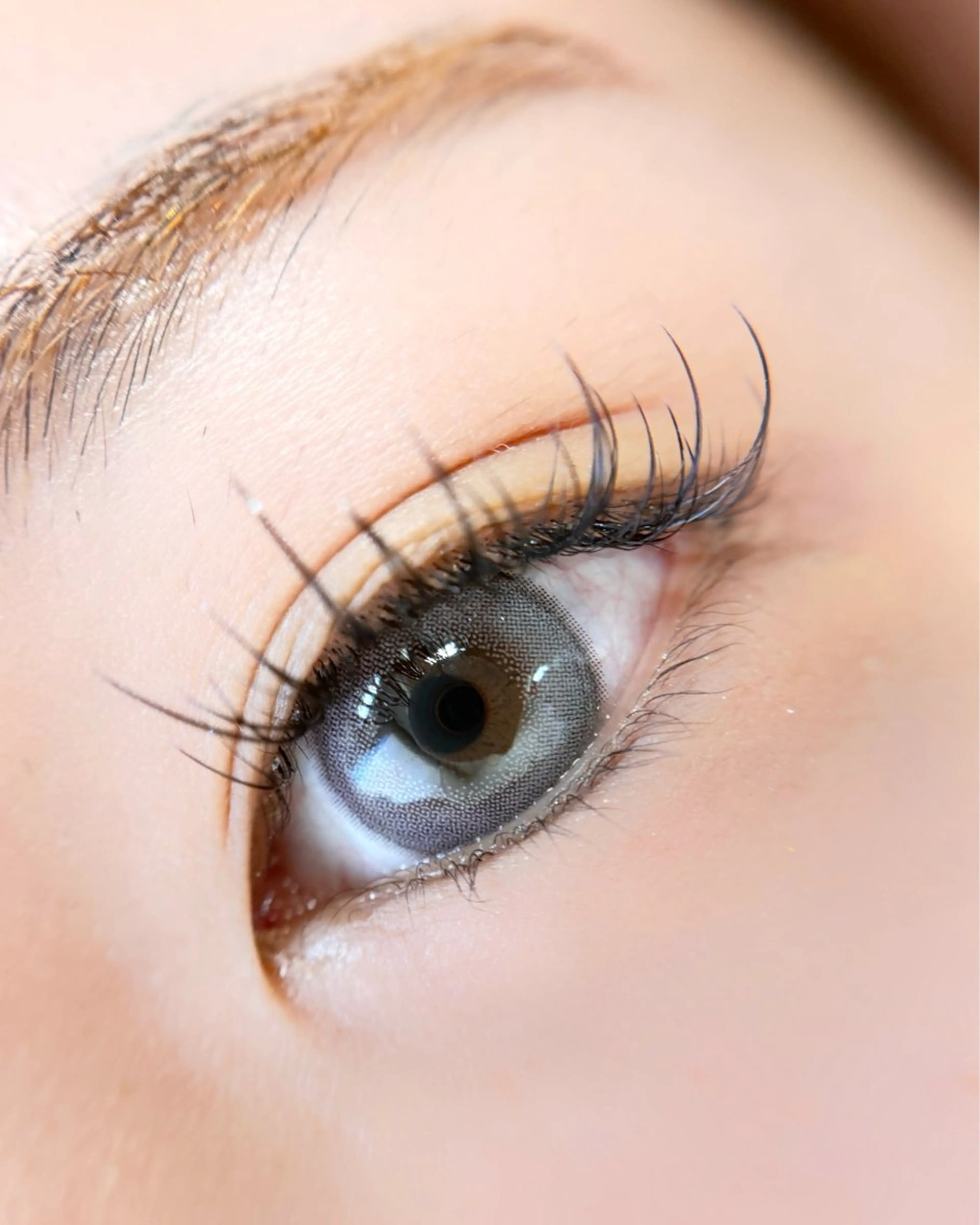 🧡🫧LED🧡🫧フラットラッシュ 付け放題🌷の写真