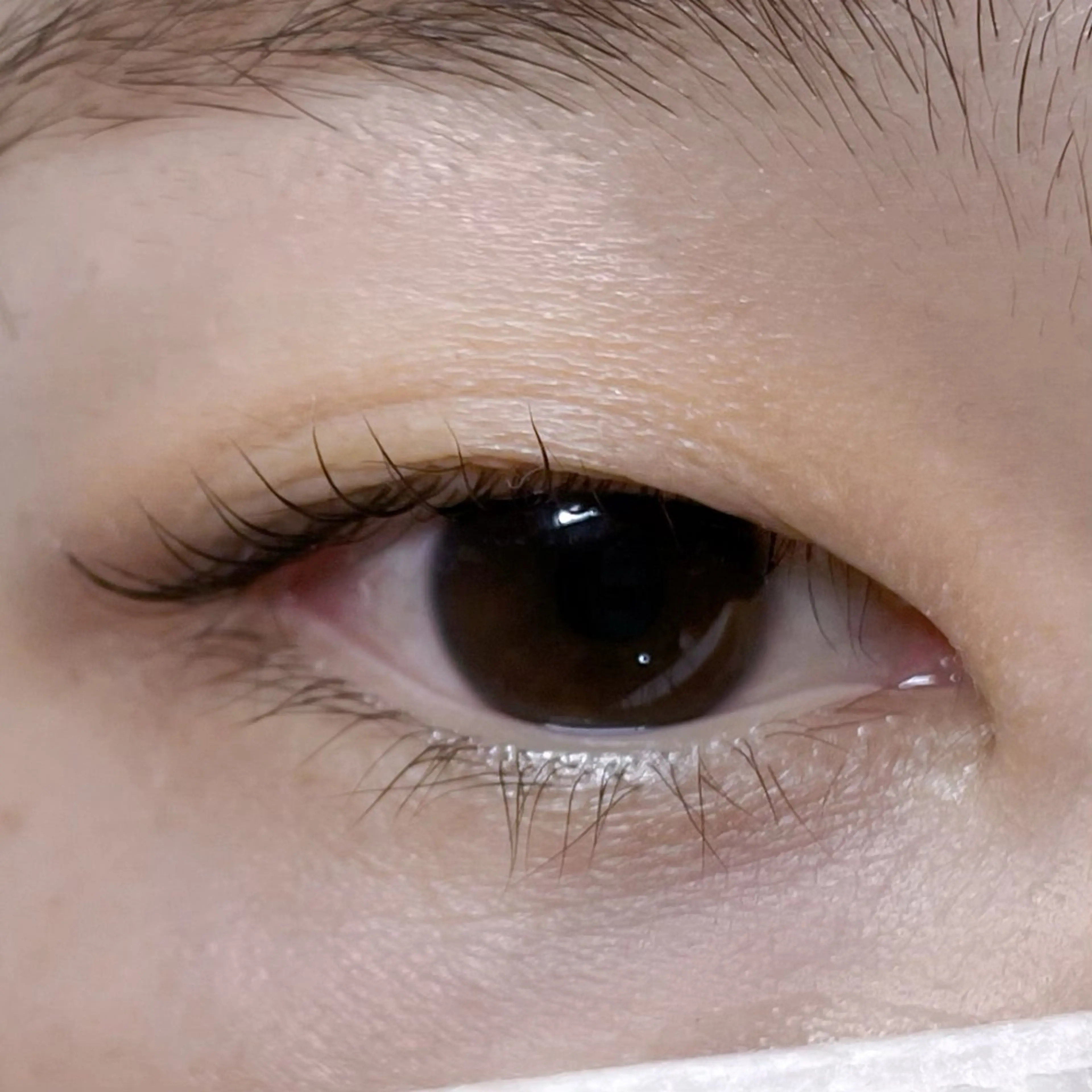 マツエク・マツパ マツパ 櫻井 怜華のマツエク・マツパデザイン