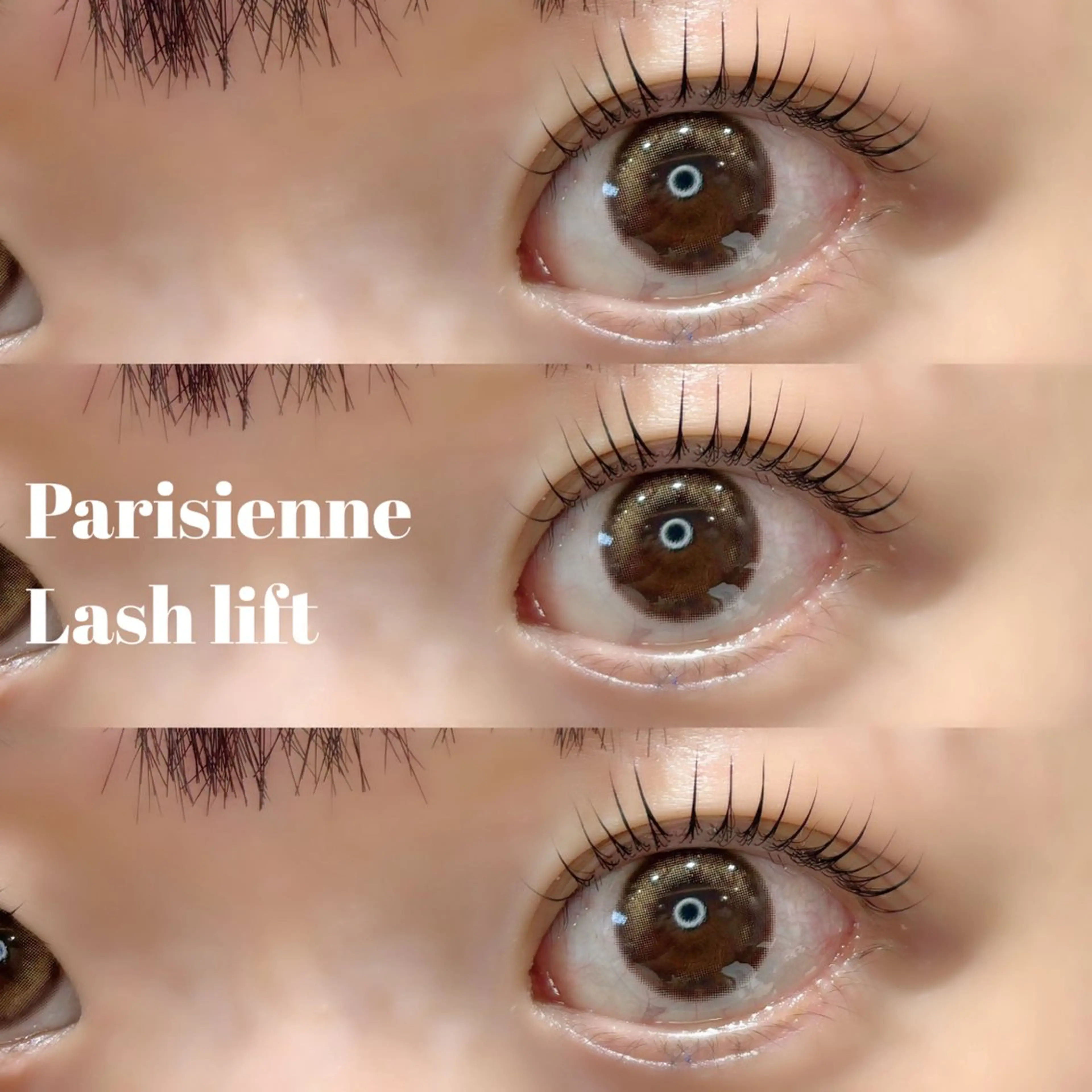 🌷パリジェンヌラッシュリフト【再来＋¥500】の写真