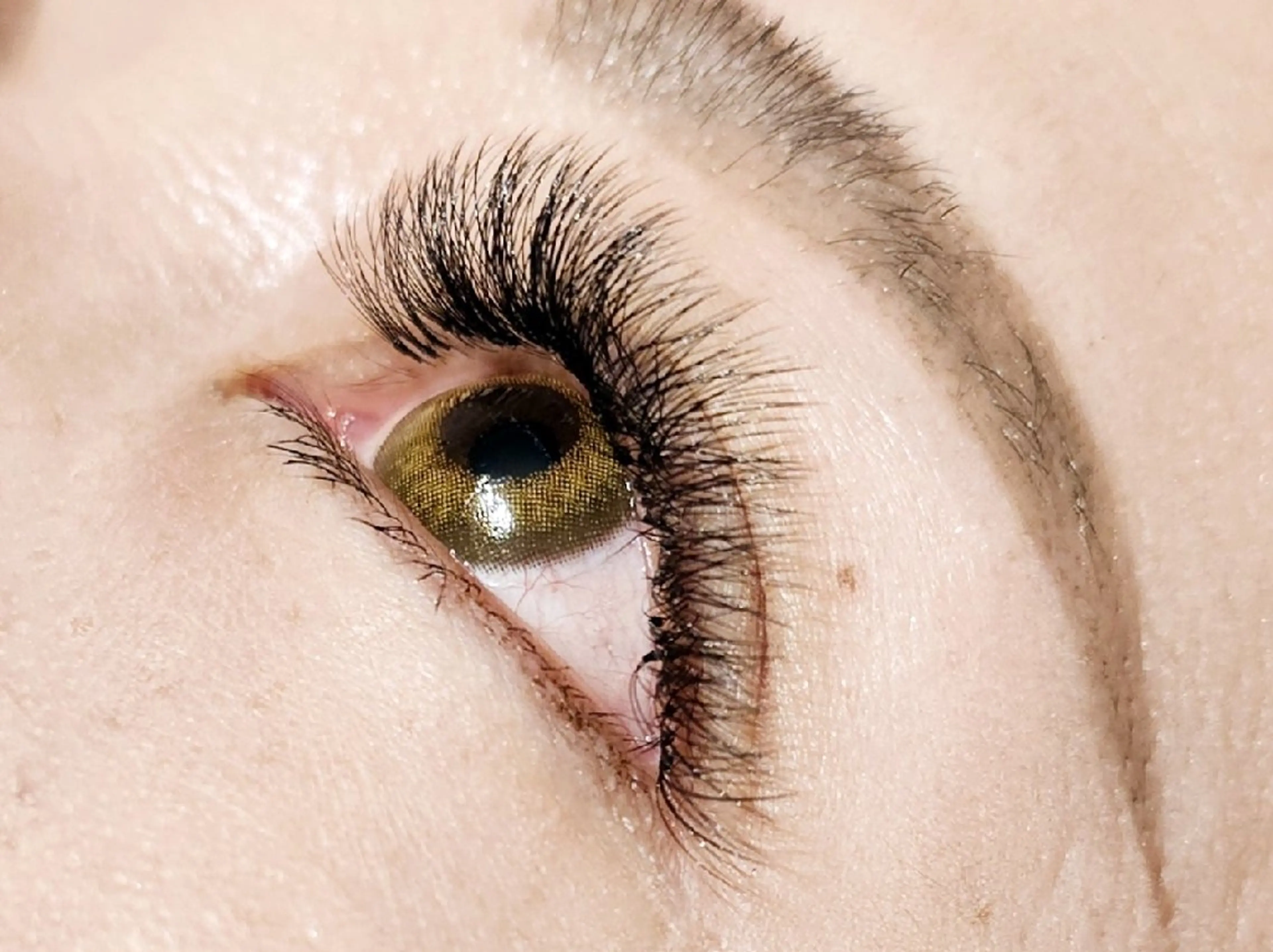 26日まで限定価格❇️LEDエクステ500本✨️オフ無料ボリュームラッシュ　7,500円❗の写真