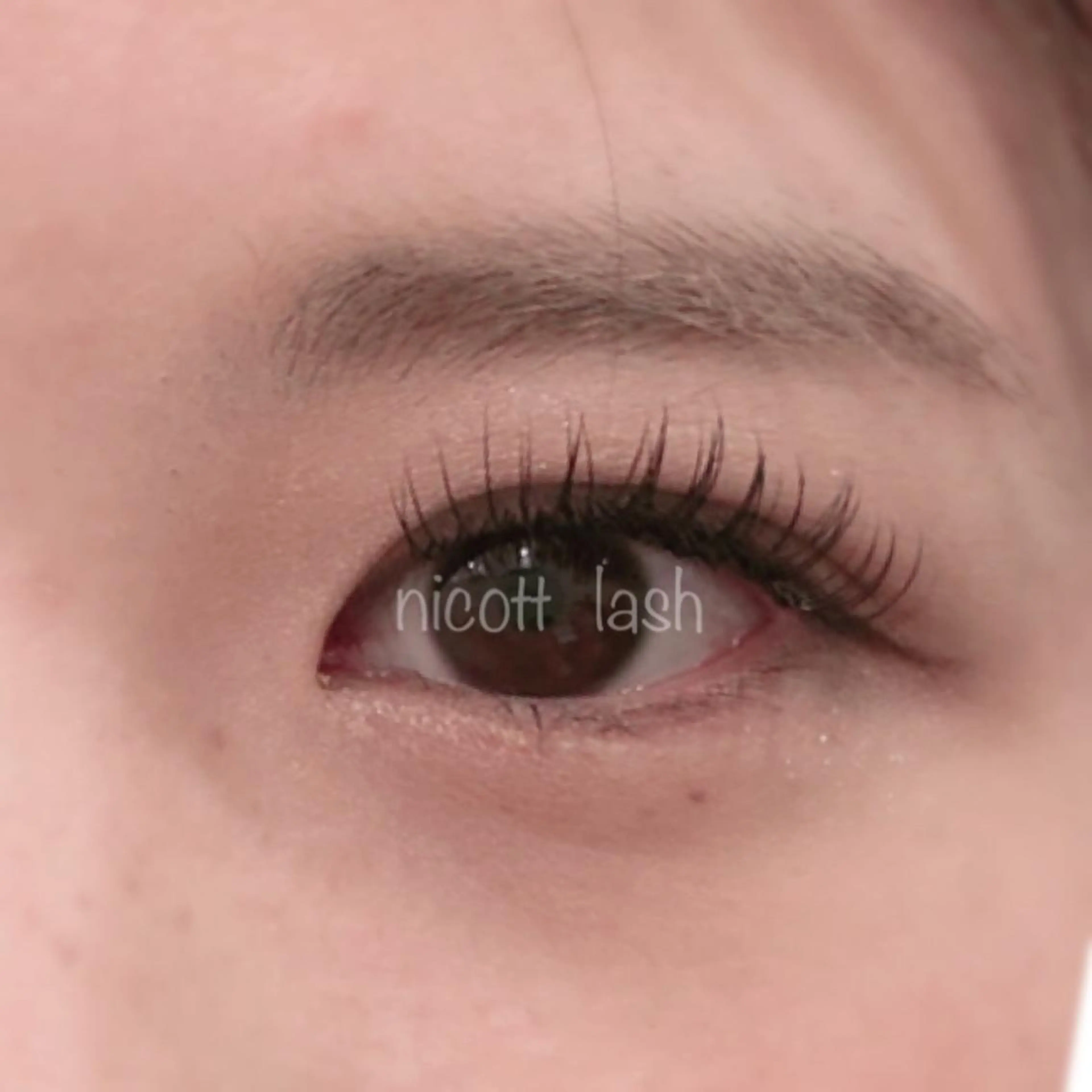 マツエク・マツパ デイジーラッシュ 大阪駅前第3ビルのマツエク・マツパデザイン