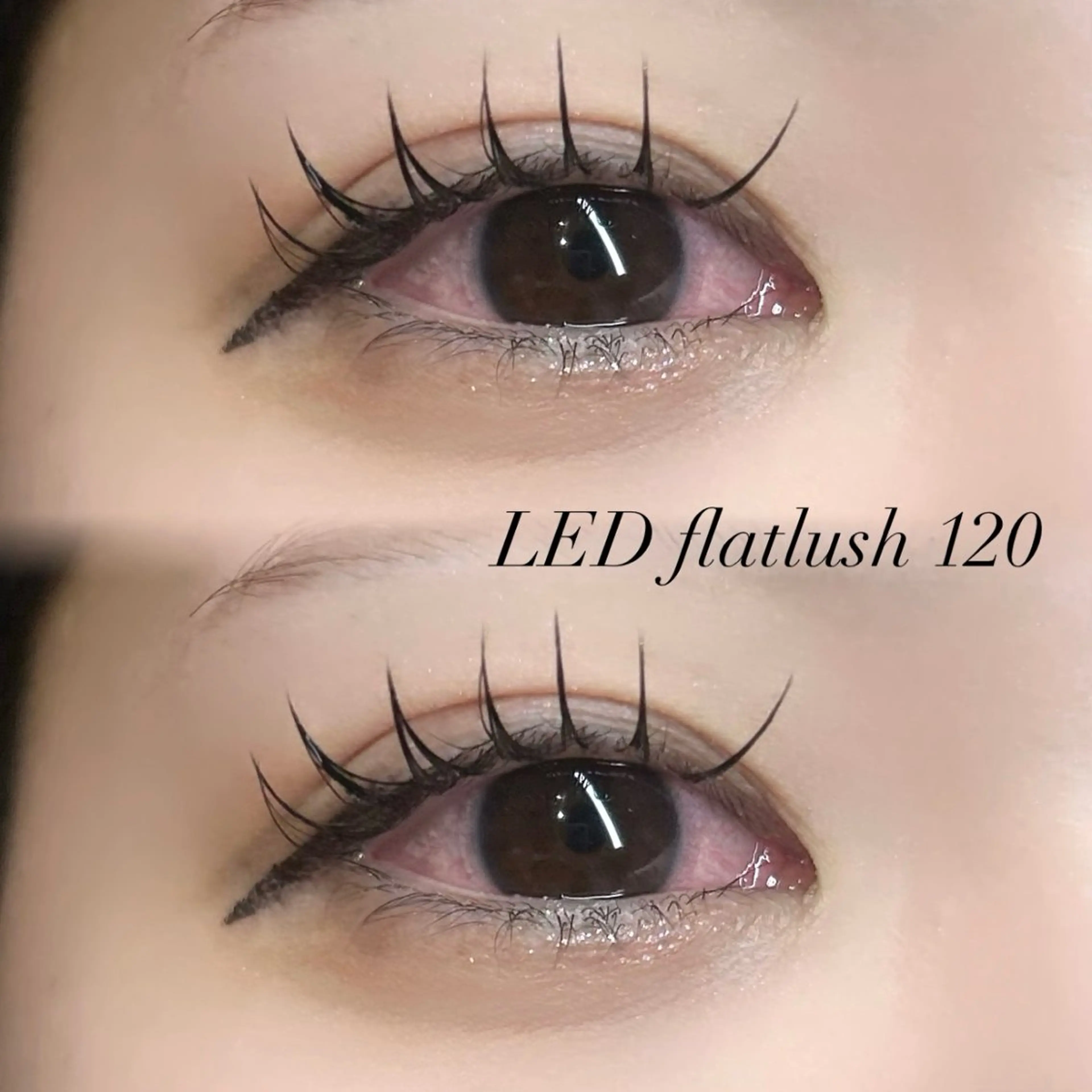 【練習モデル】💡LEDフラットラッシュ💡100本or 120本 🎀の写真