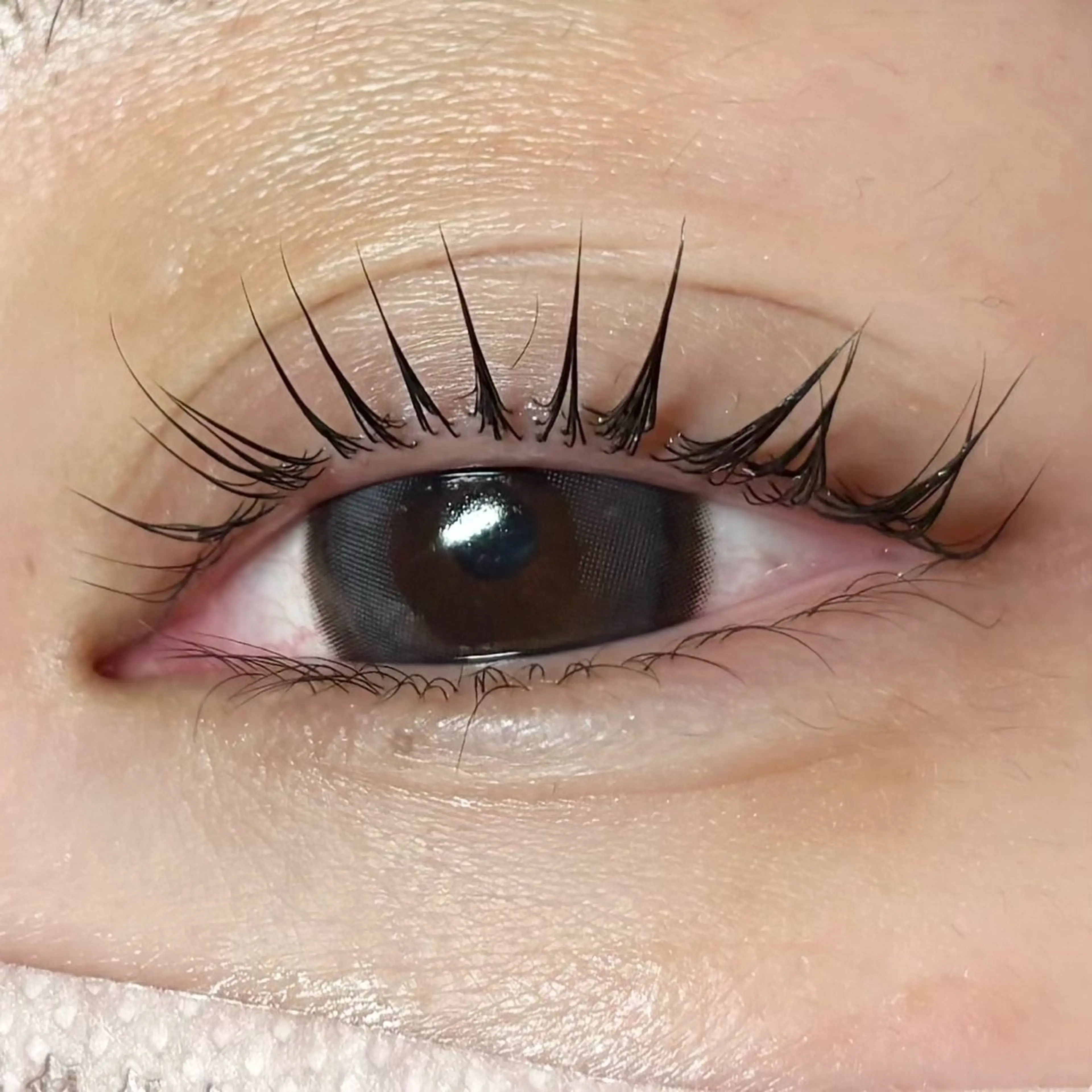 マツエク・マツパ naitre 🌼SHIORI🌼のマツエク・マツパデザイン